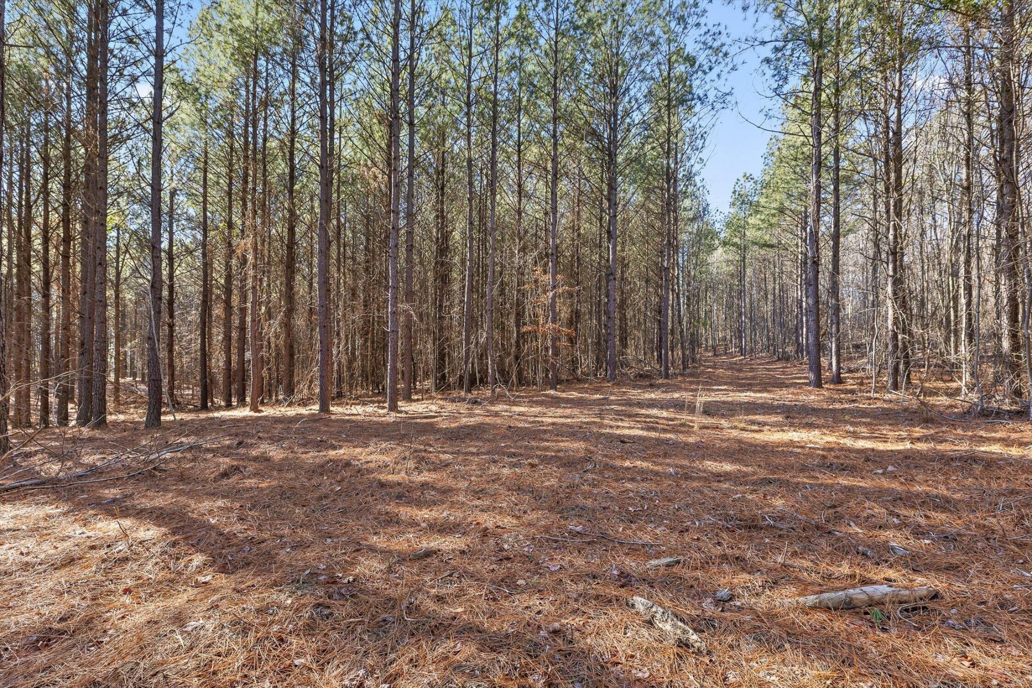 0 Wildlife Way Property Photo 4