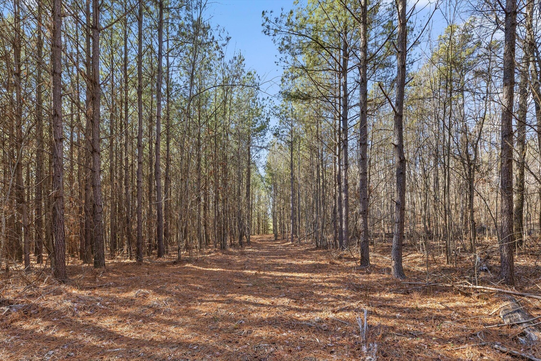 0 Wildlife Way Property Photo 5