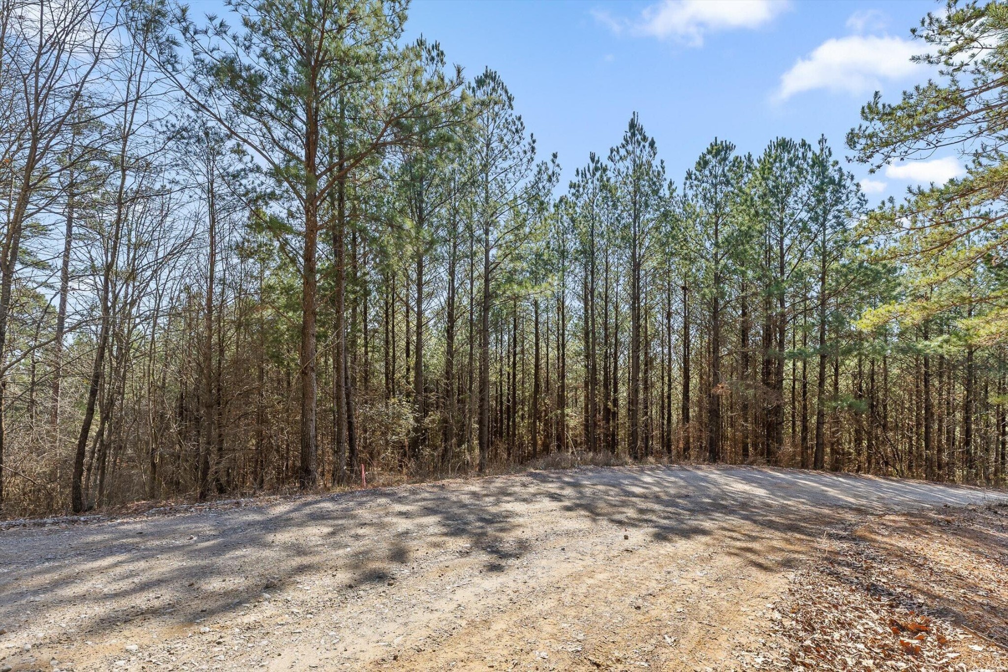 0 Wildlife Way Property Photo 7