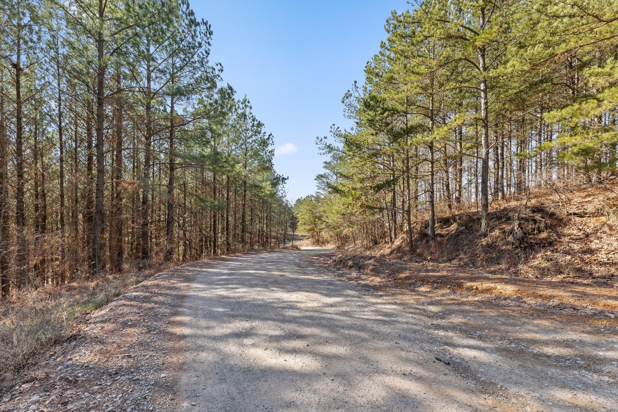 0 Wildlife Way Property Photo 8