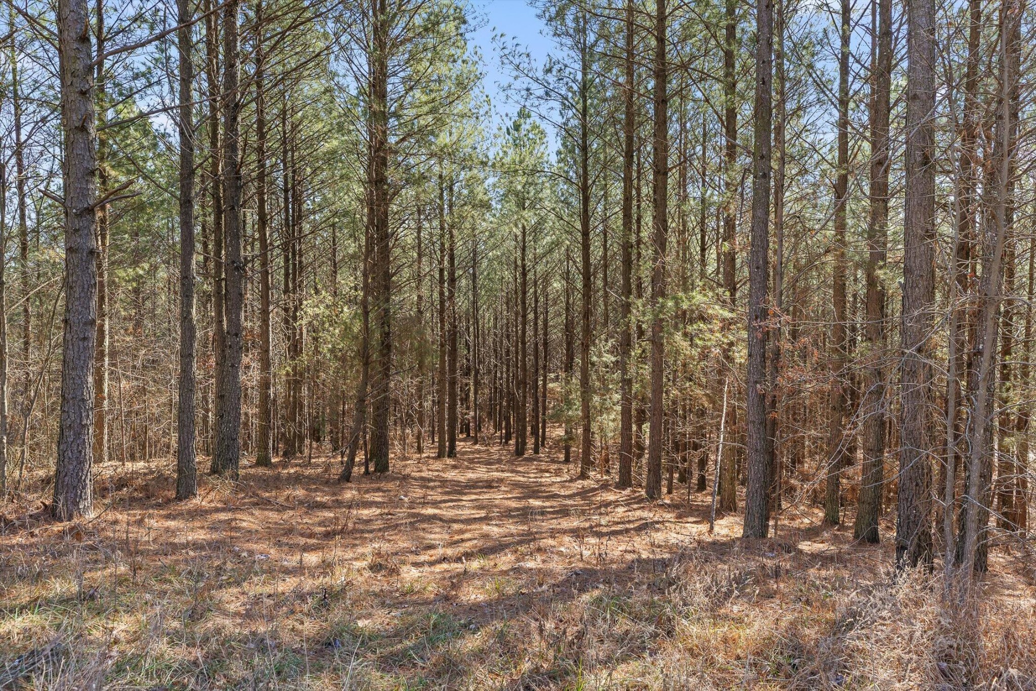 0 Wildlife Way Property Photo 9