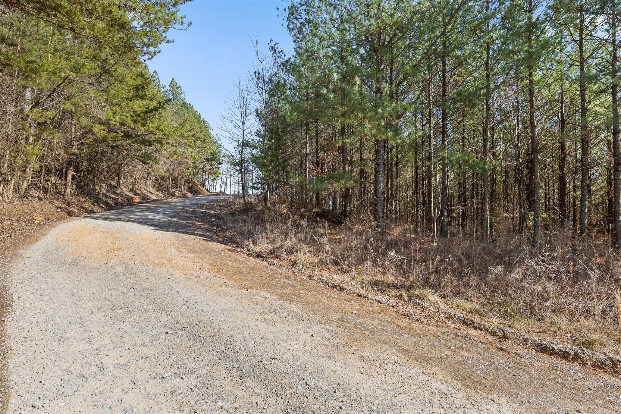 0 Wildlife Way Property Photo 10