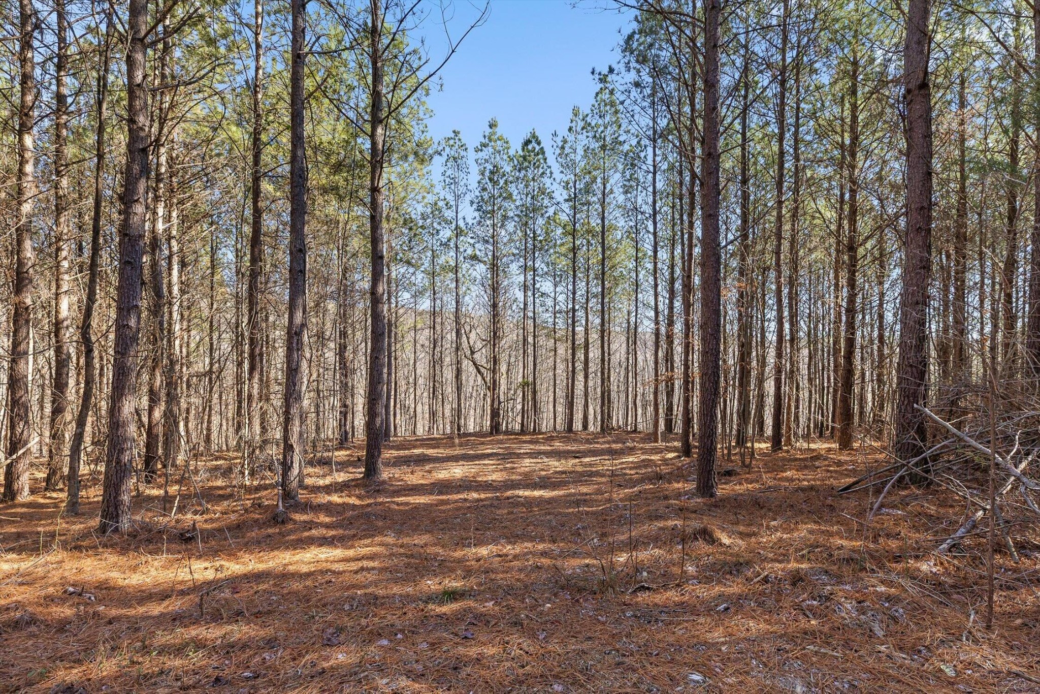 0 Wildlife Way Property Photo 13