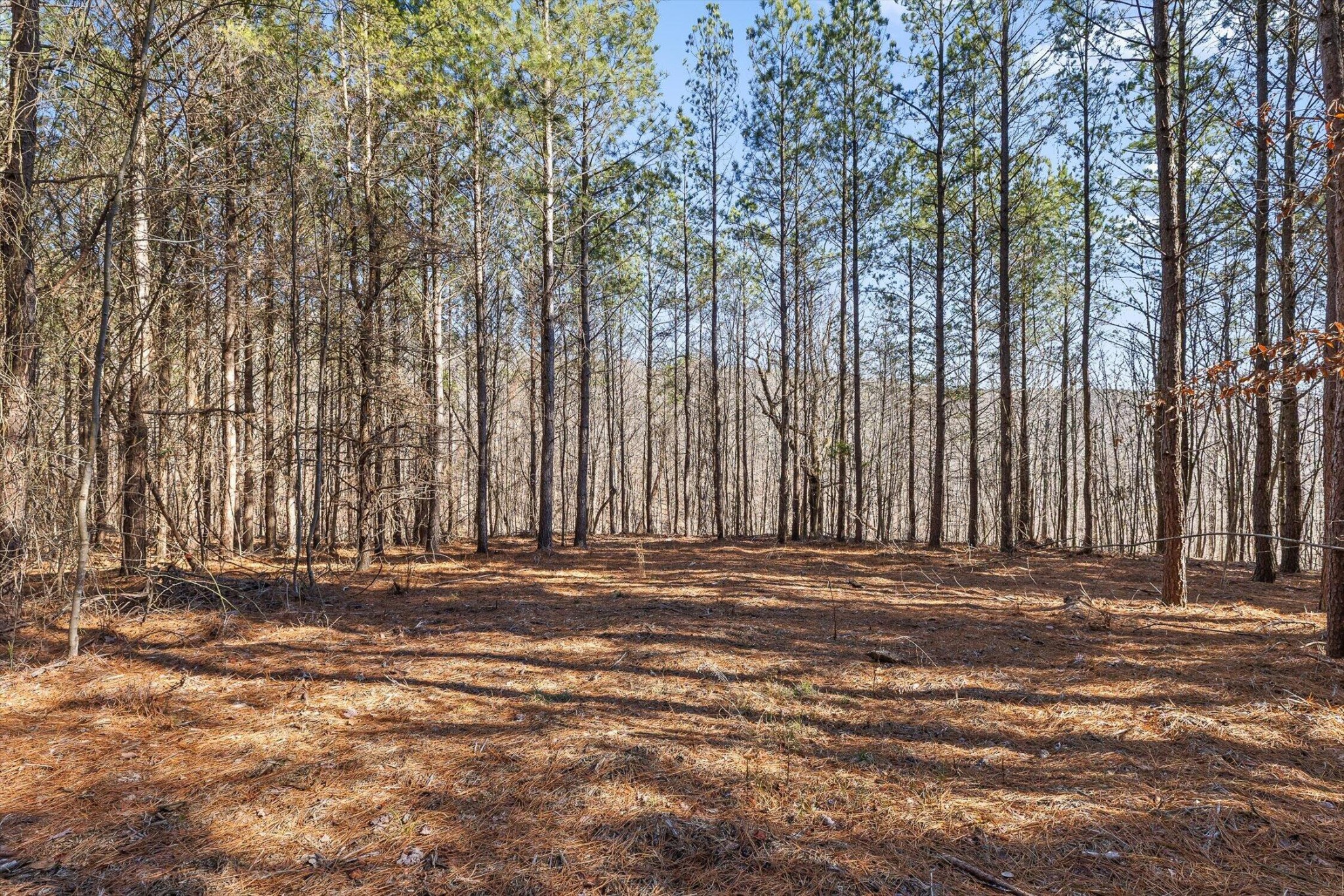 0 Wildlife Way Property Photo 14