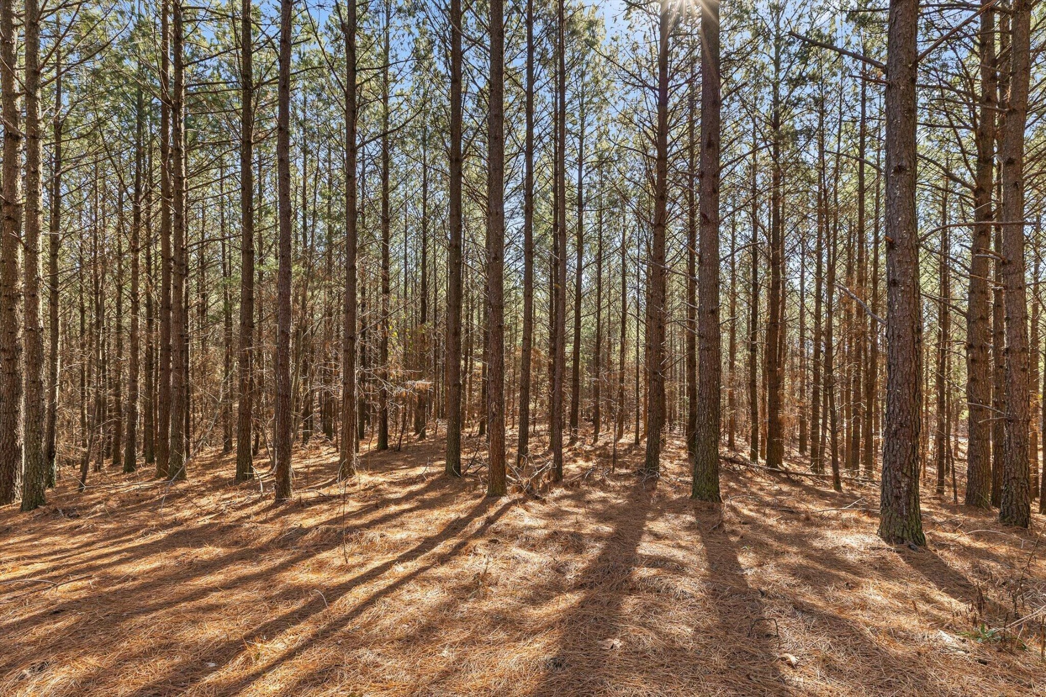 0 Wildlife Way Property Photo 24