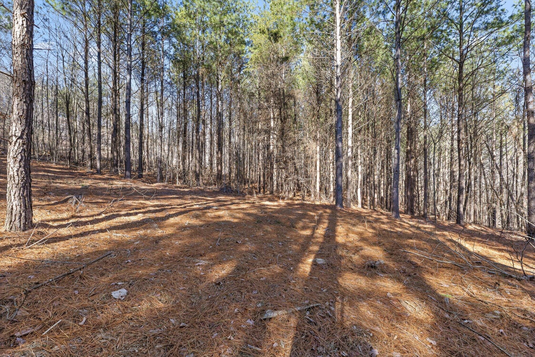 0 Wildlife Way Property Photo 29