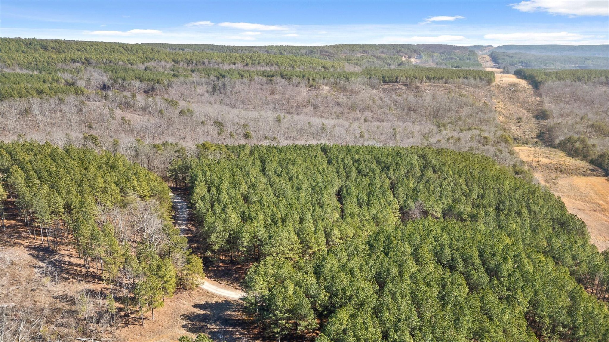 0 Wildlife Way Property Photo 33