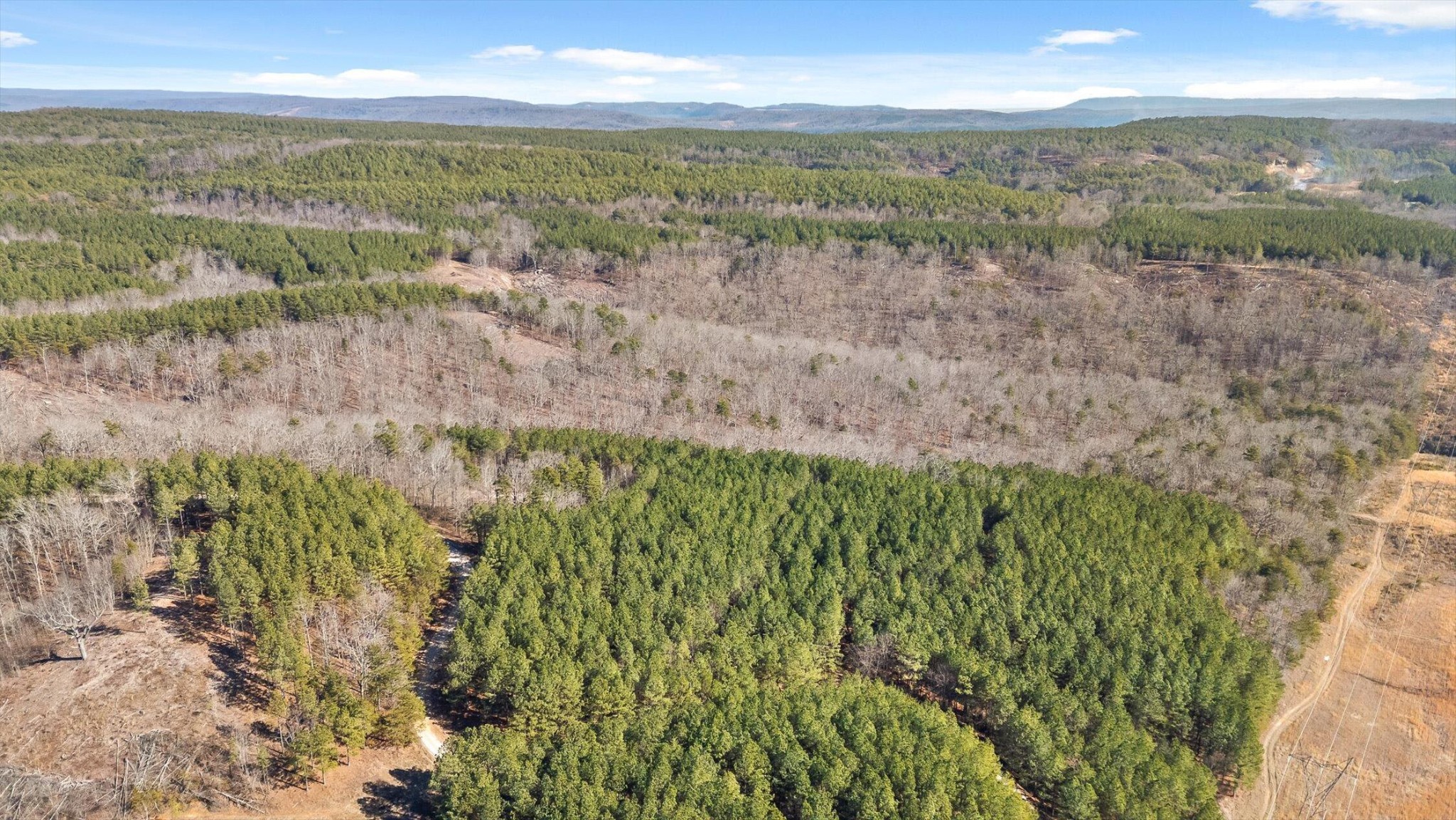 0 Wildlife Way Property Photo 42