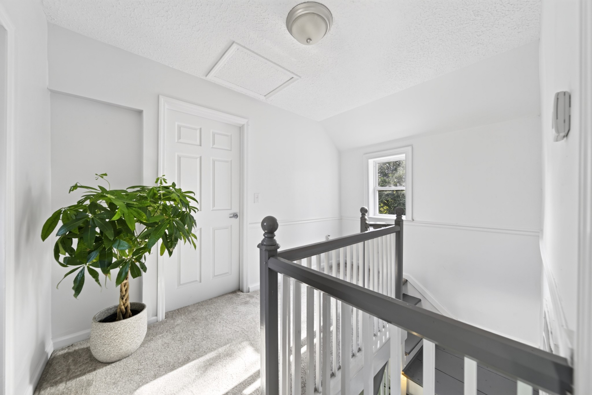 3798 Mccandless Rd Property Photo 63