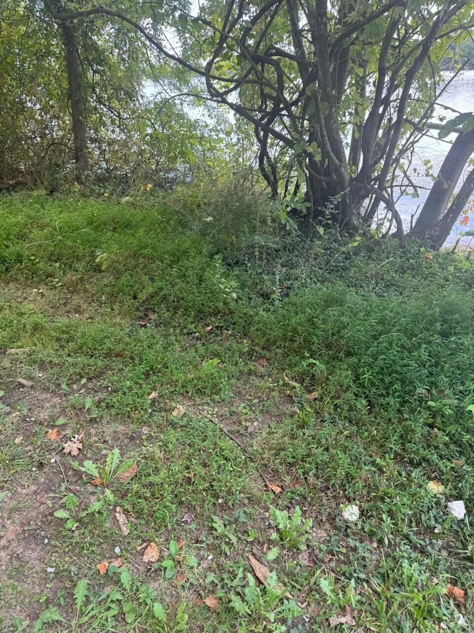 0 Circle Road Property Photo 1