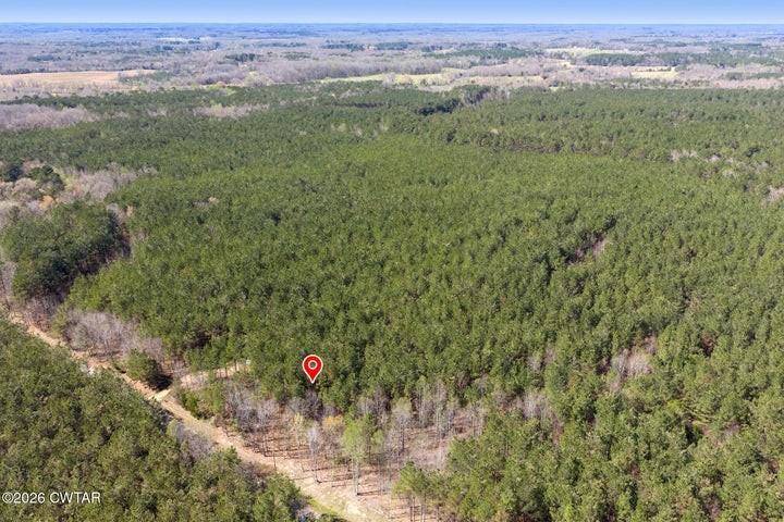 1070 Pollock Rd Property Photo 6