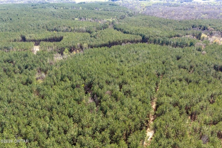 1070 Pollock Rd Property Photo 8