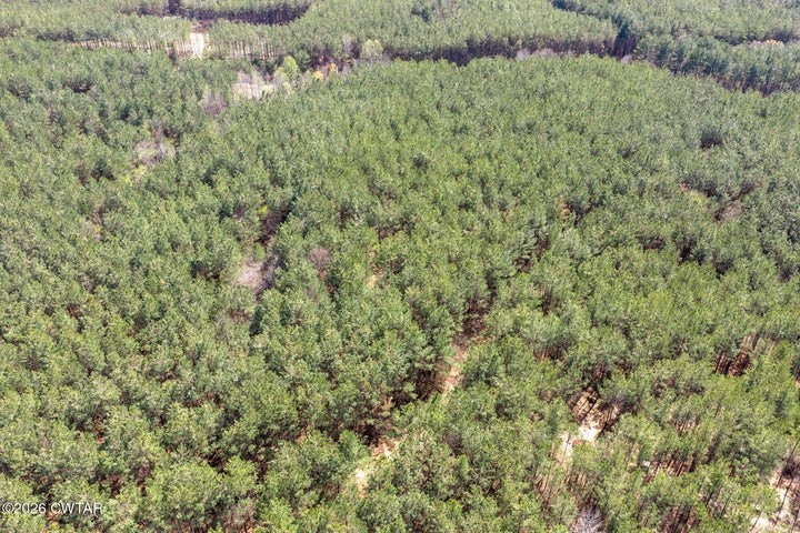1070 Pollock Rd Property Photo 11