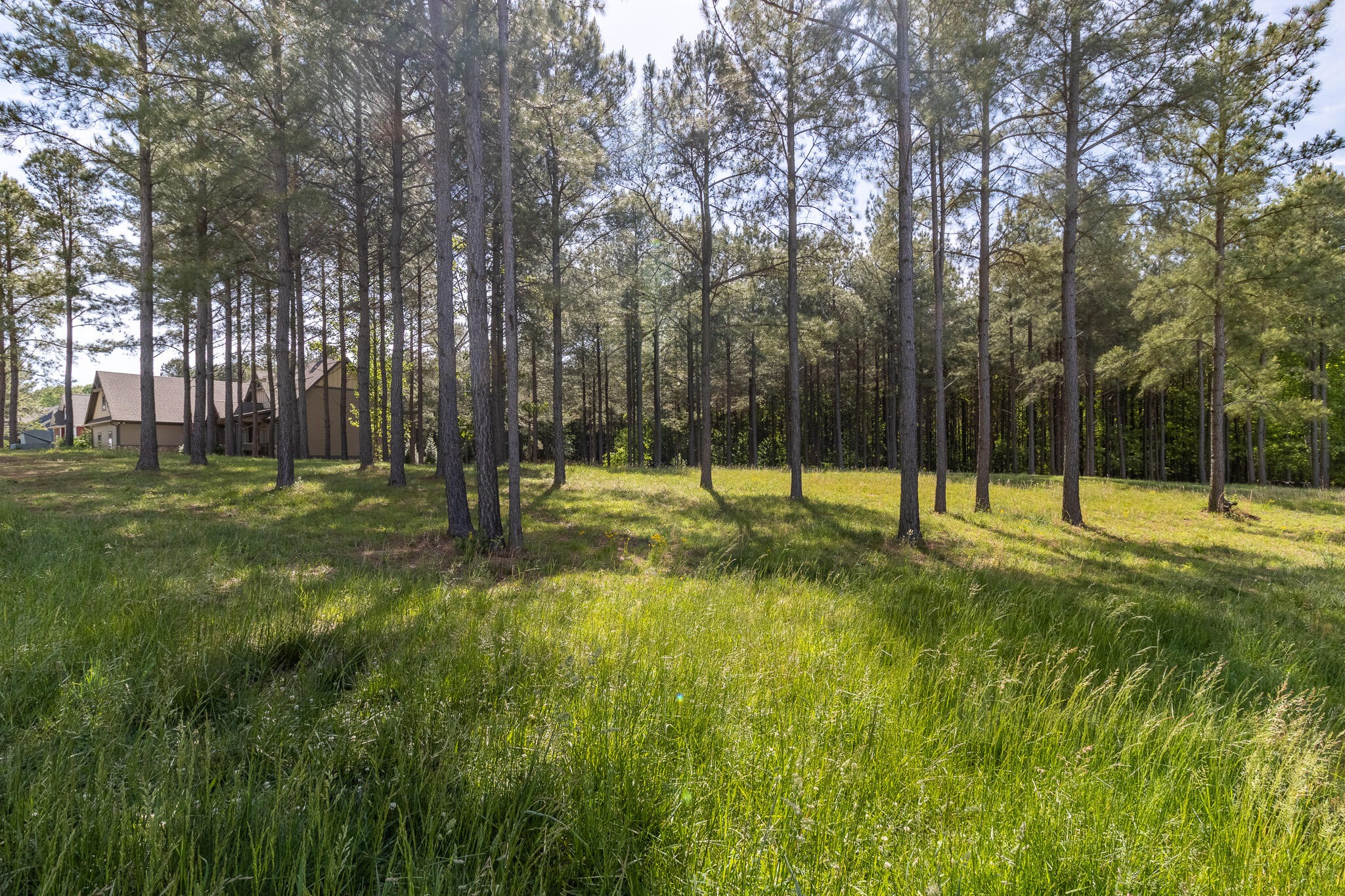 1600 Raulston Falls Road Property Photo 1