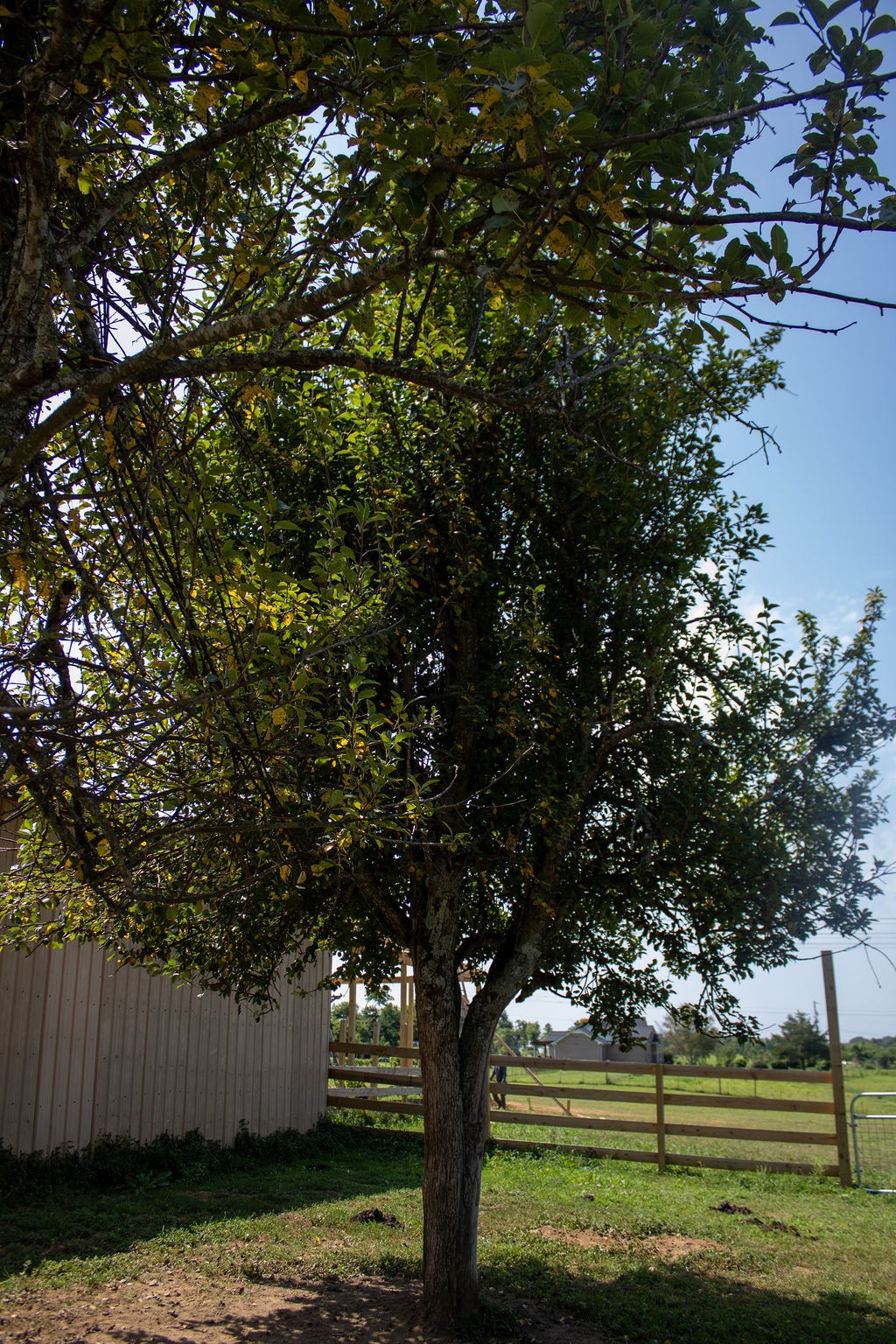 0 Clara Mathis Rd Property Photo 10