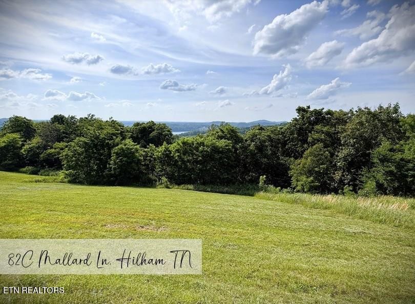 82 Mallard Rd Property Photo 1