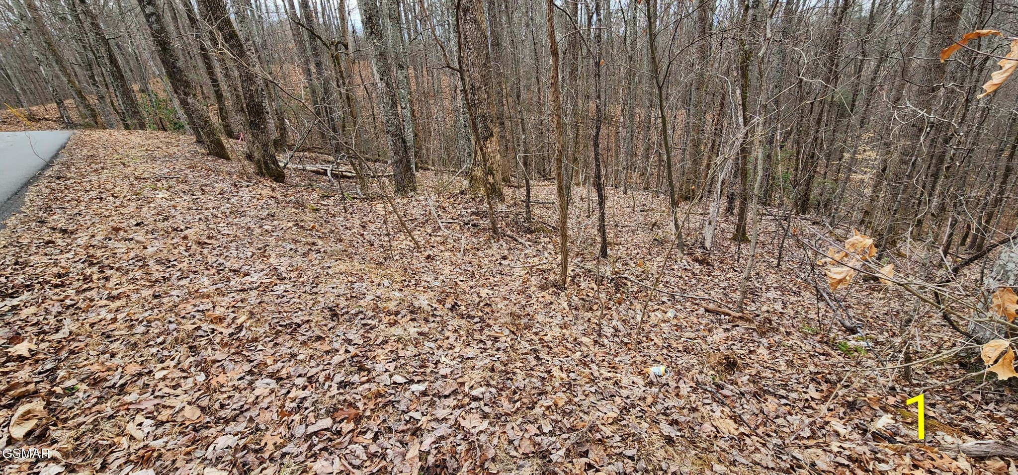 2225 King Hollow Road Property Photo 1