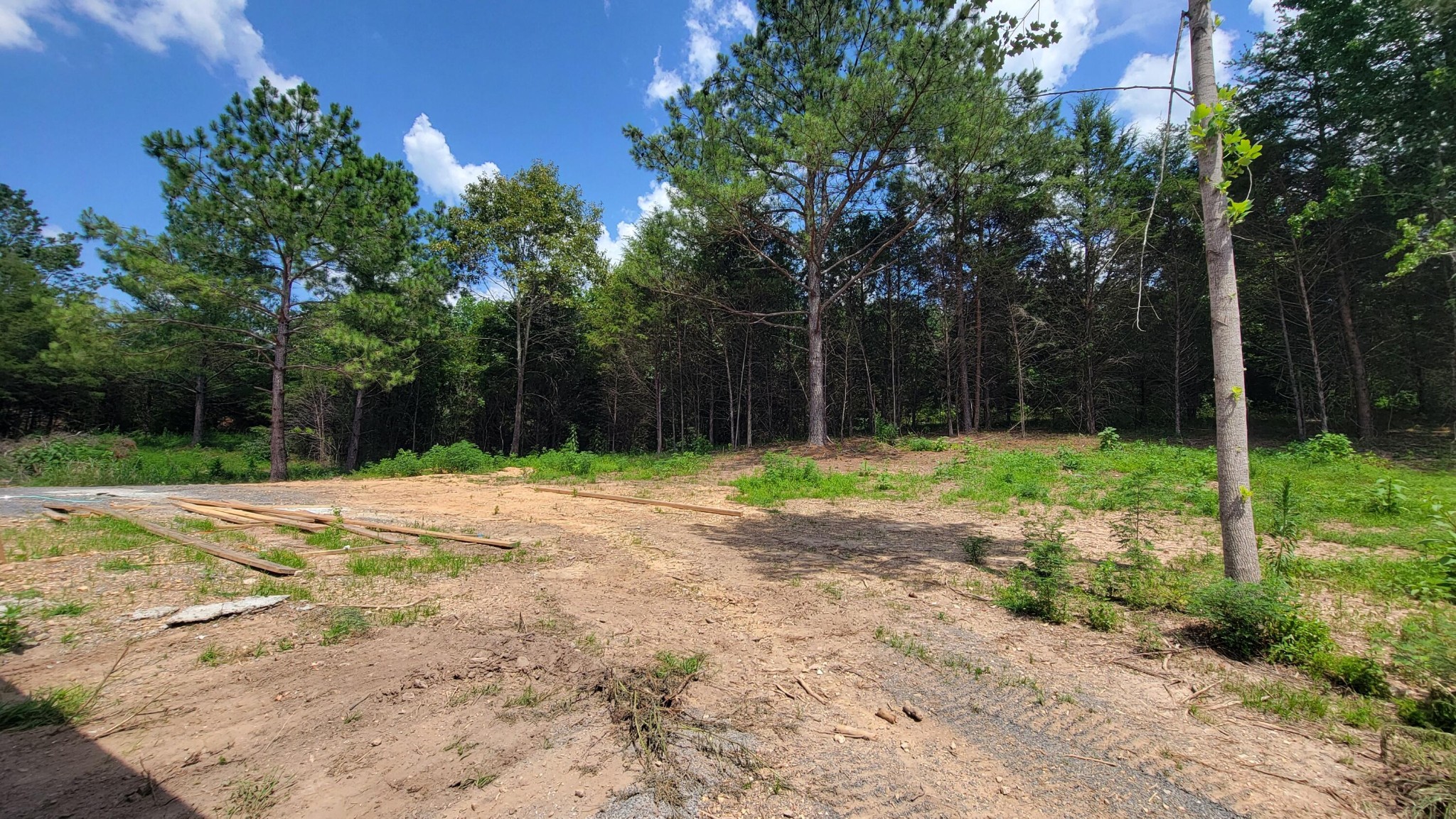 7847 Sims Road Property Photo 7