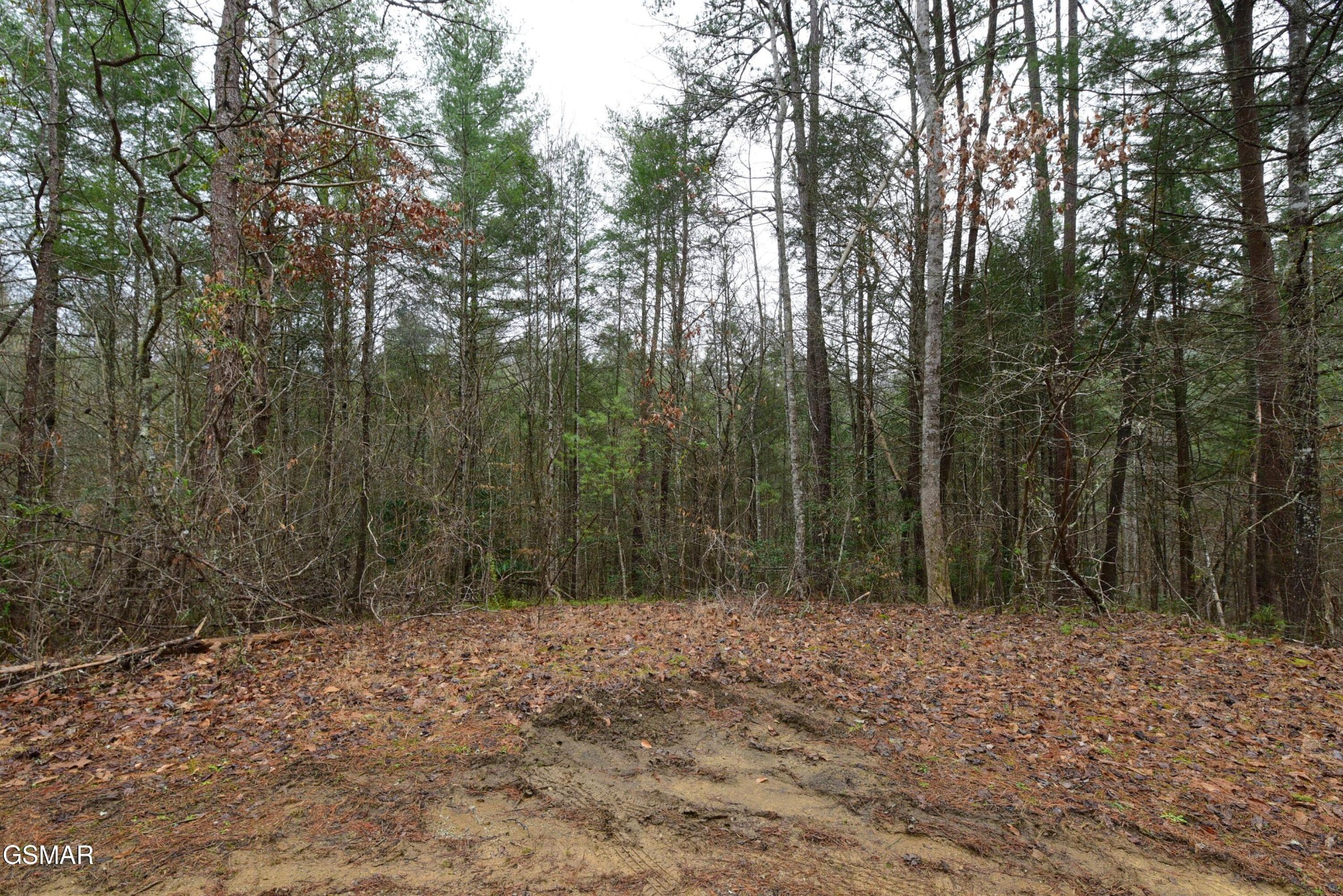 23 Alpine Ridge Way Property Photo 1
