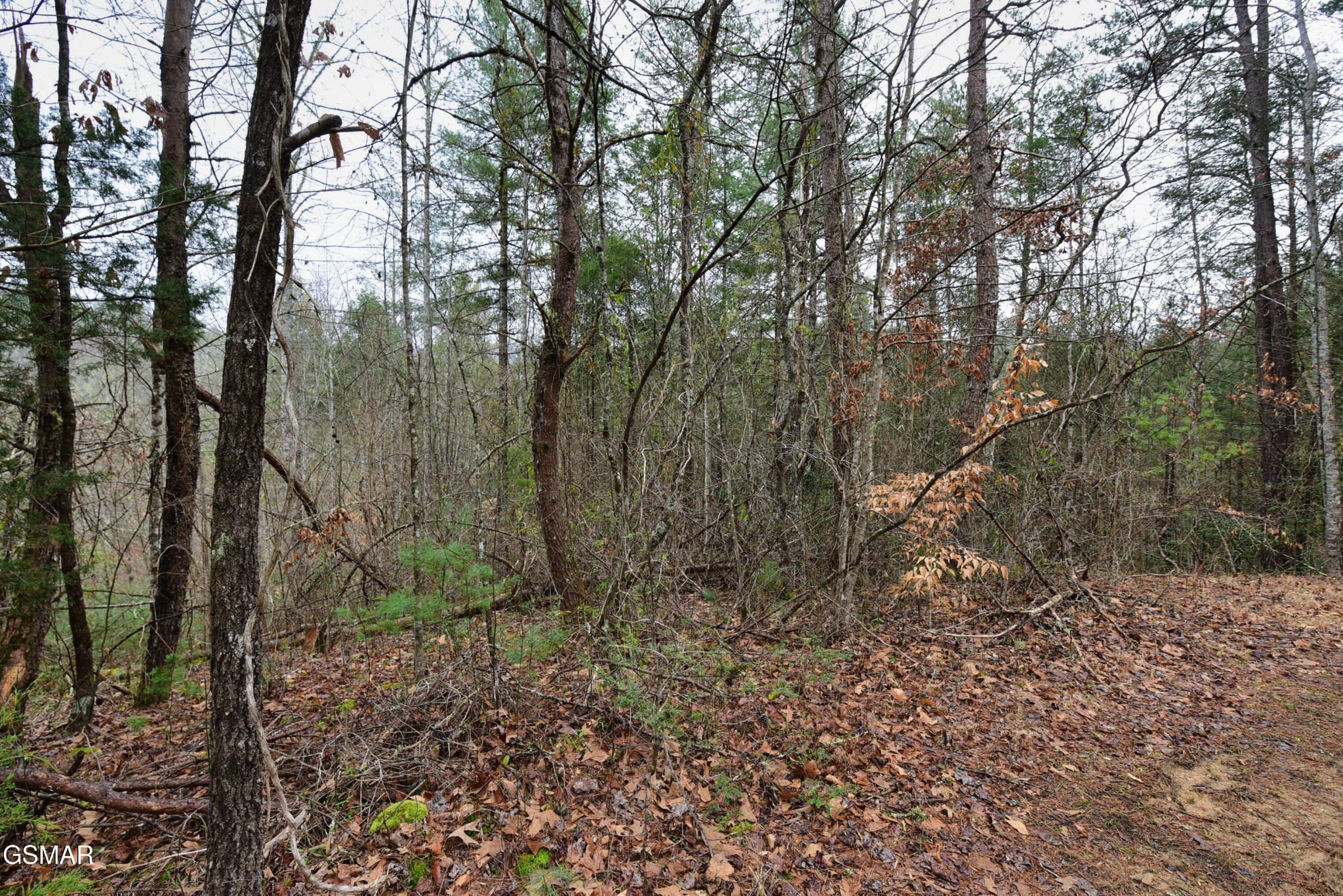 23 Alpine Ridge Way Property Photo 5
