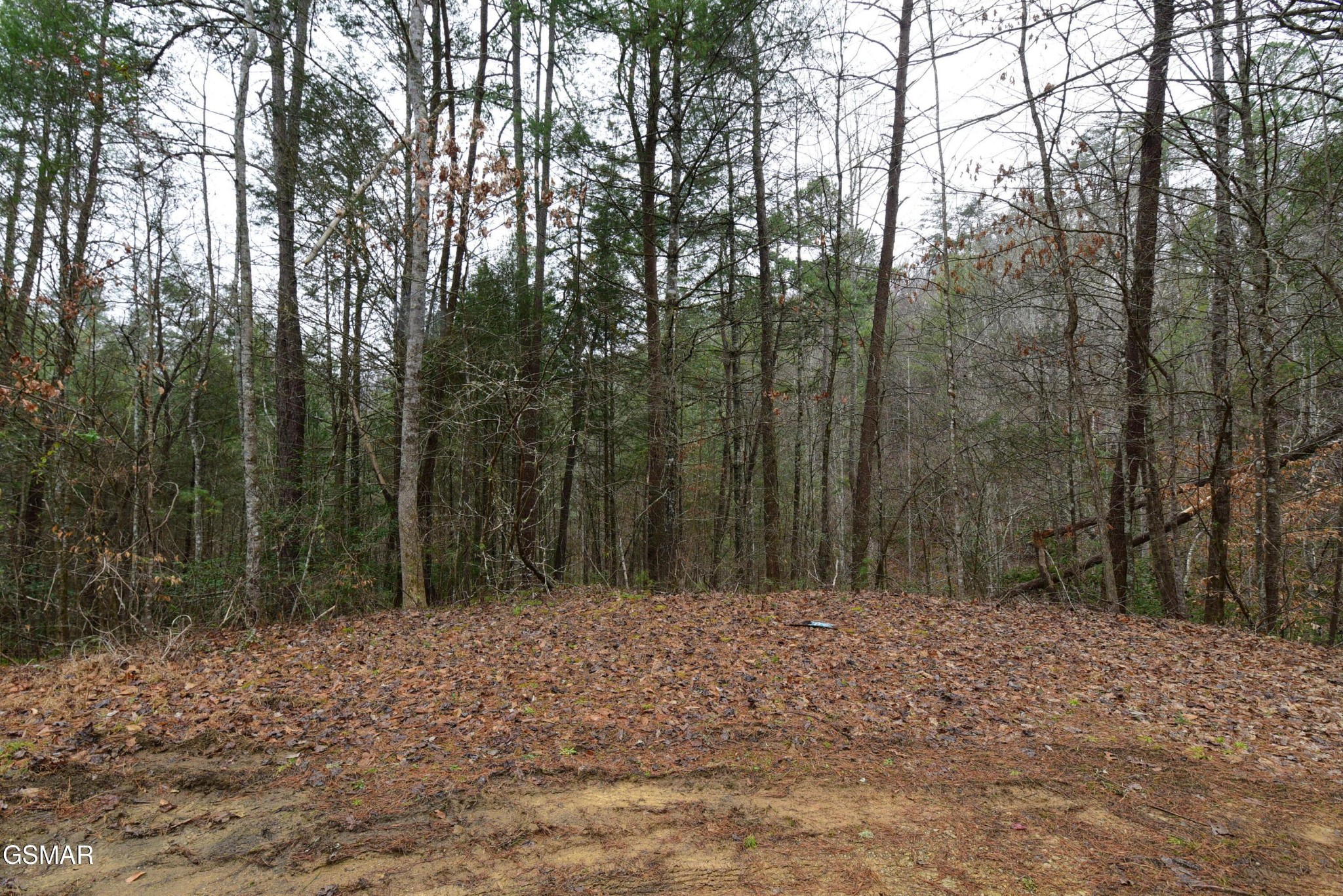 23 Alpine Ridge Way Property Photo 7