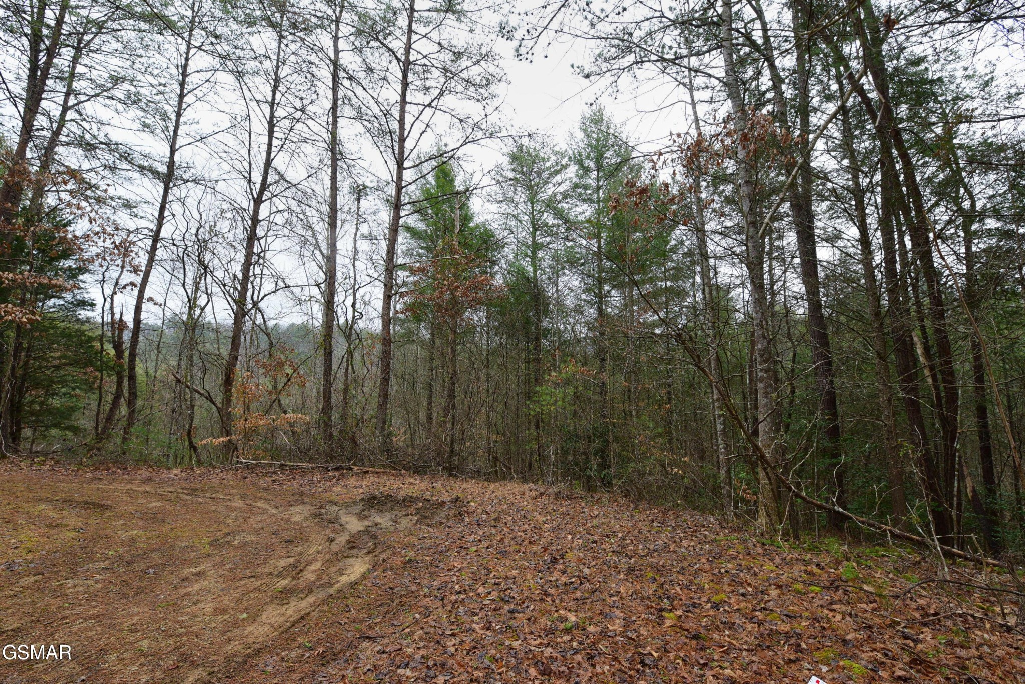 23 Alpine Ridge Way Property Photo 8