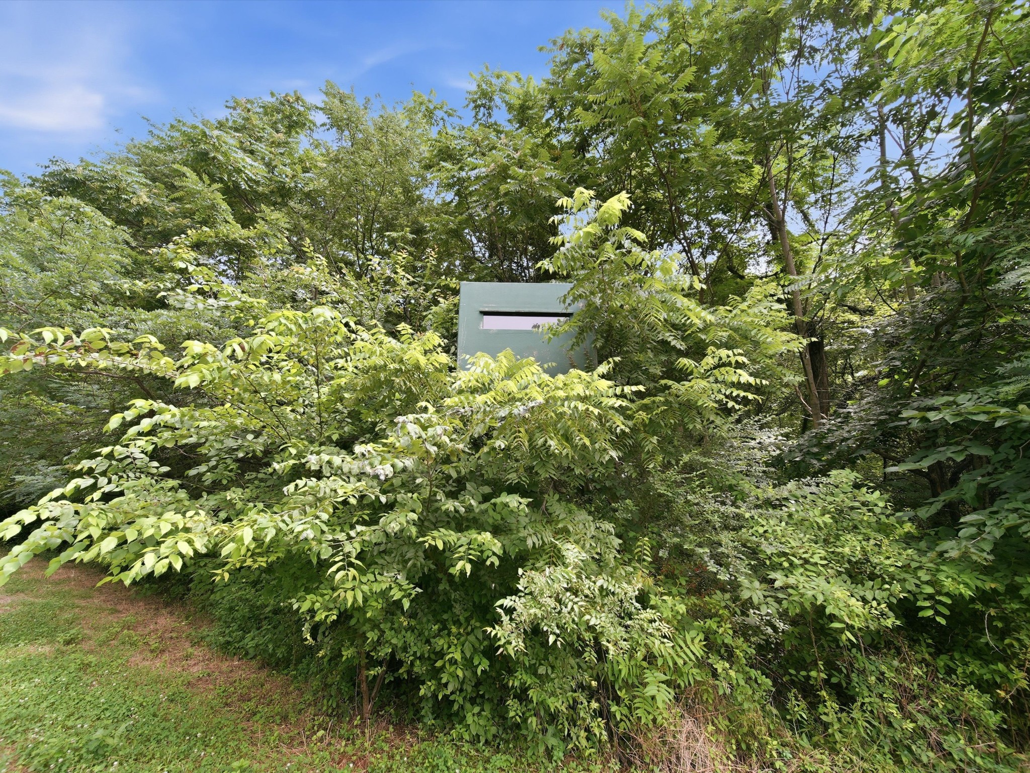 168 Sherfield Rd Property Photo 50