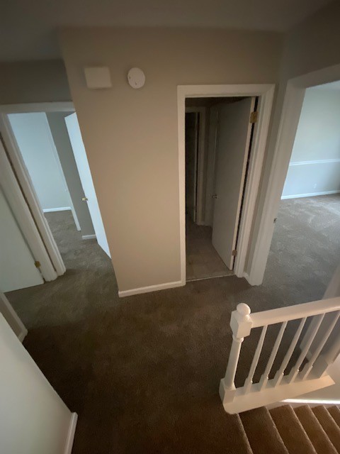 4813 Catskill Drive Property Photo 9