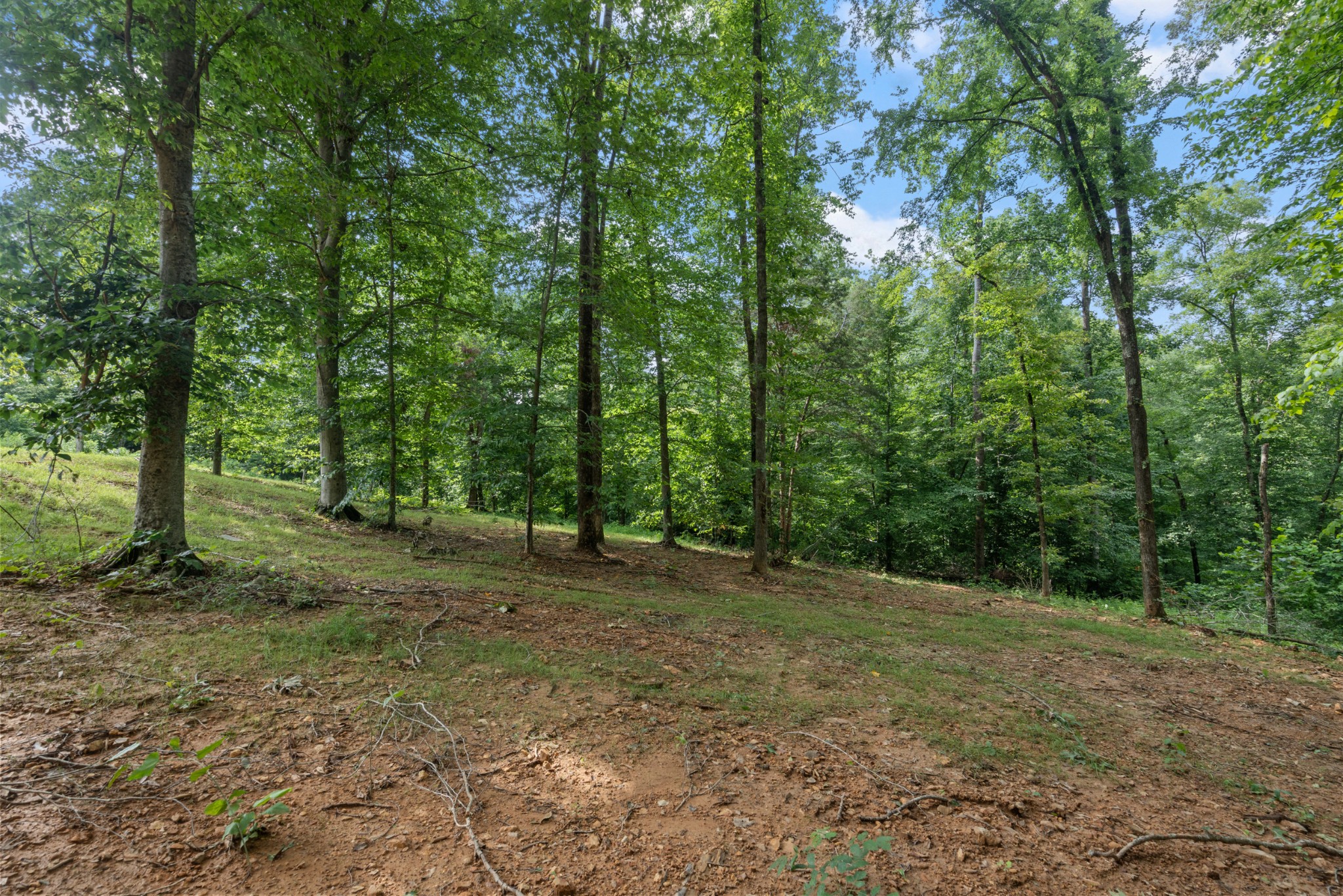 7922 E Plunders Creek Rd Property Photo 73