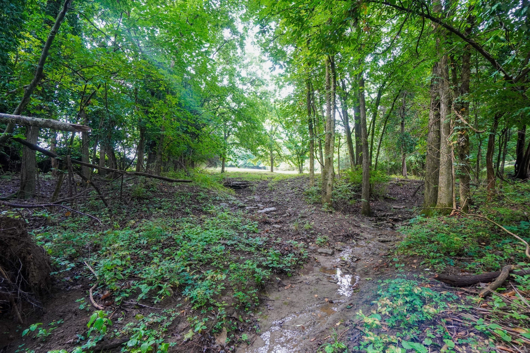 1094b Center Point Rd Property Photo 1