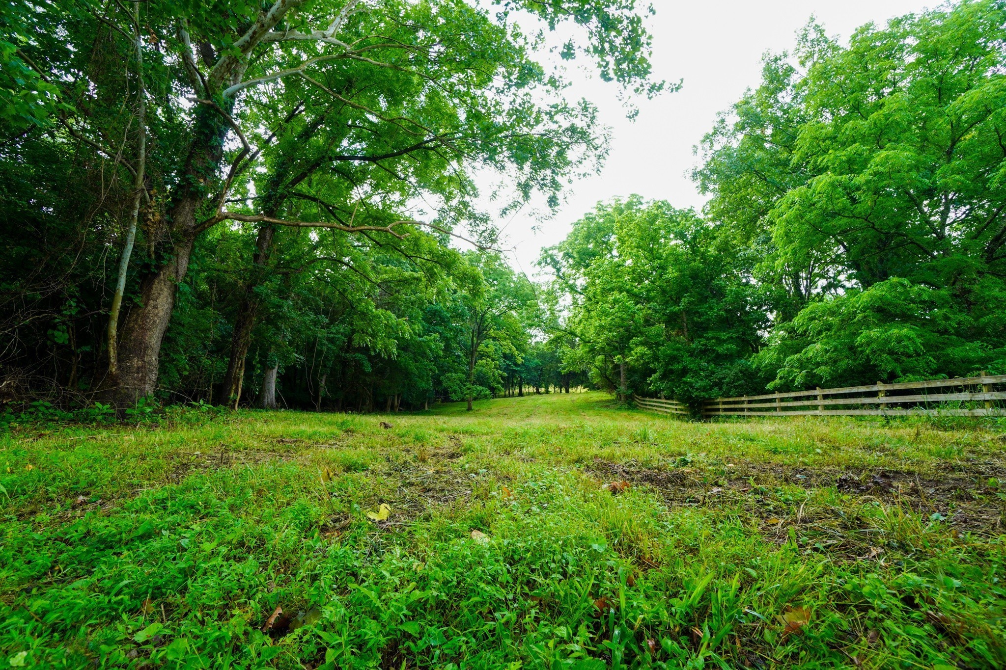 1094b Center Point Rd Property Photo 5