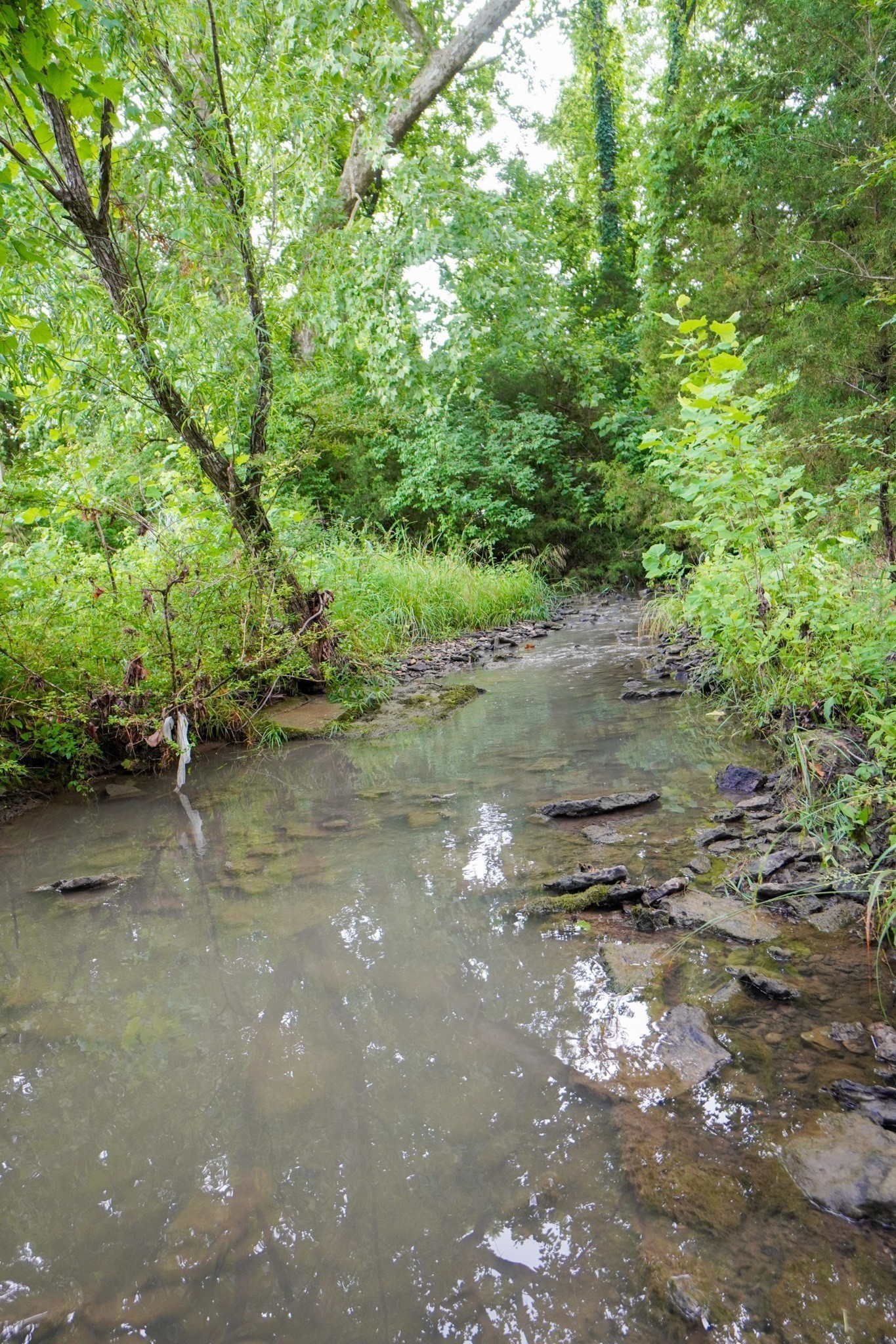 1094b Center Point Rd Property Photo 8