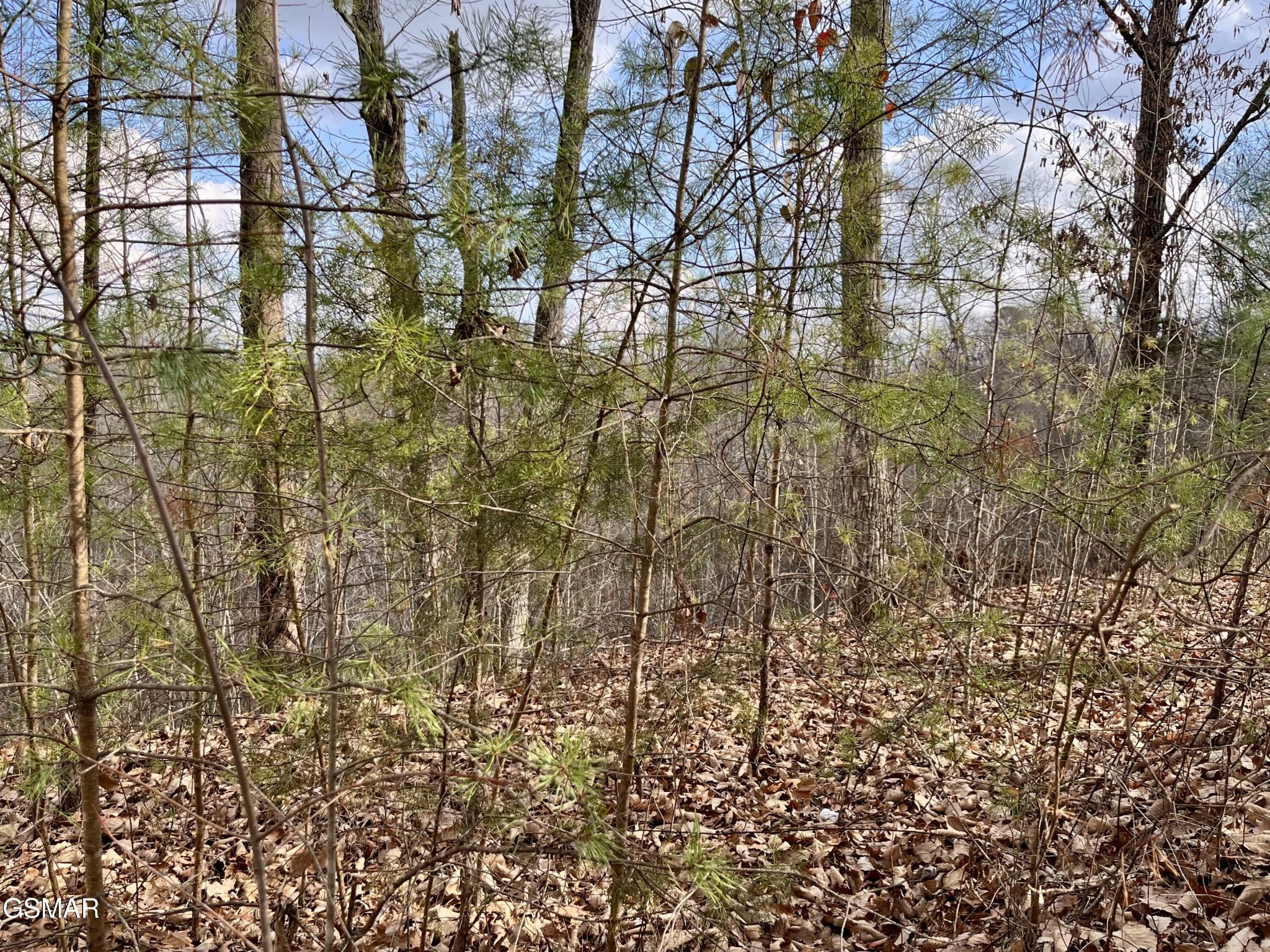 106107 Dollys Drive Property Photo 1