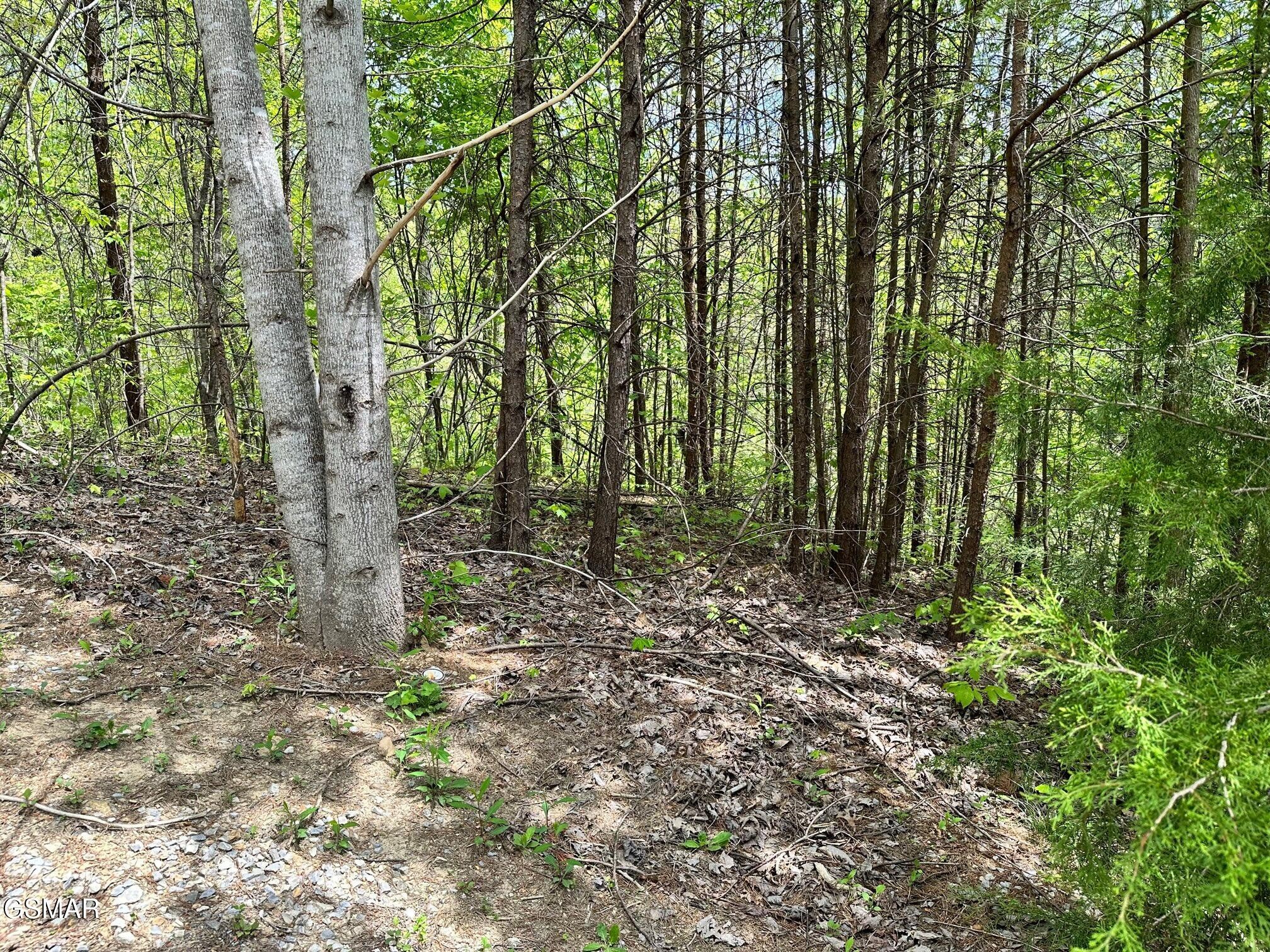 1430 Mountain Dreams Way Property Photo 1