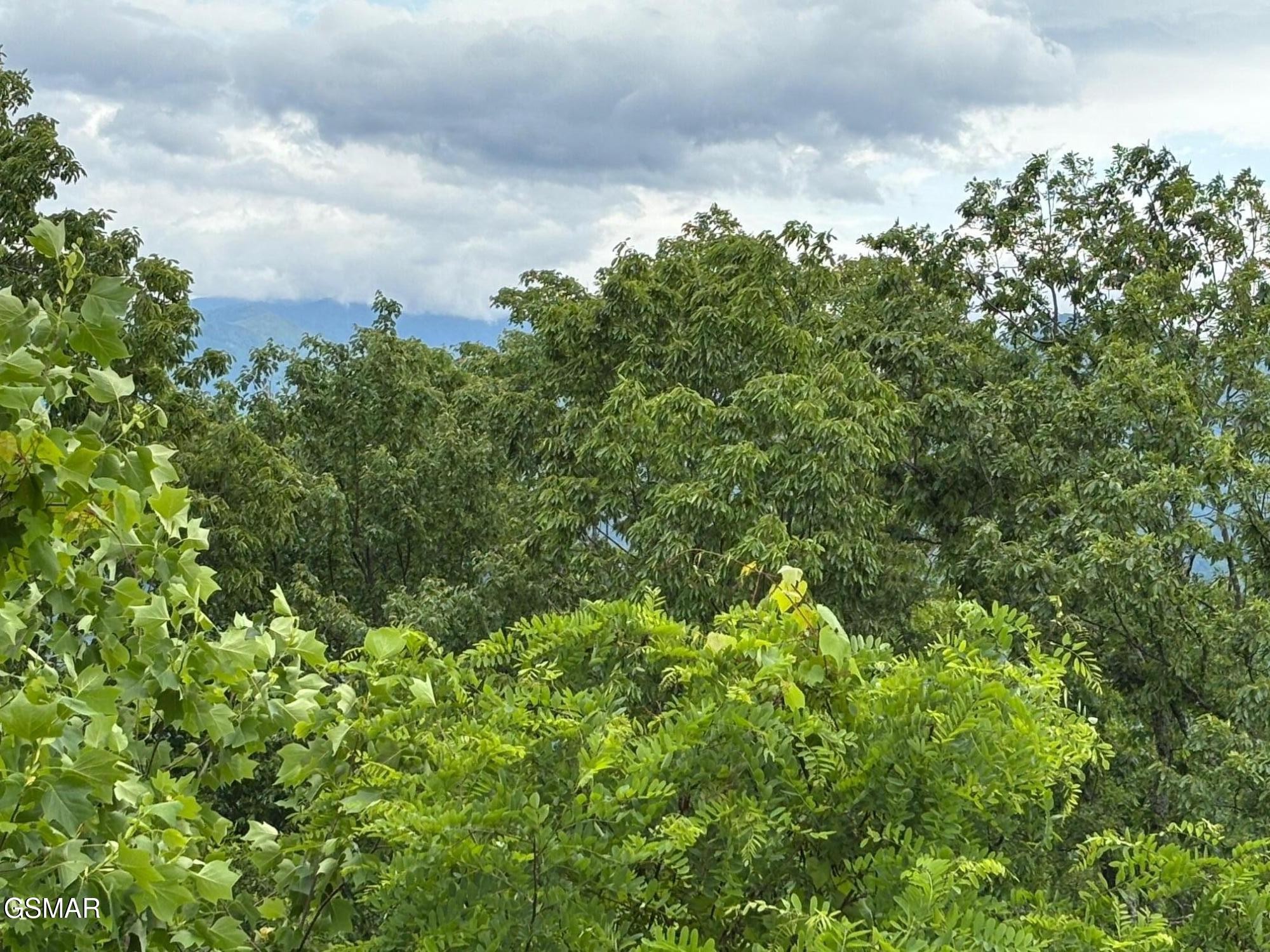 1226 Sky High Way Property Photo 23