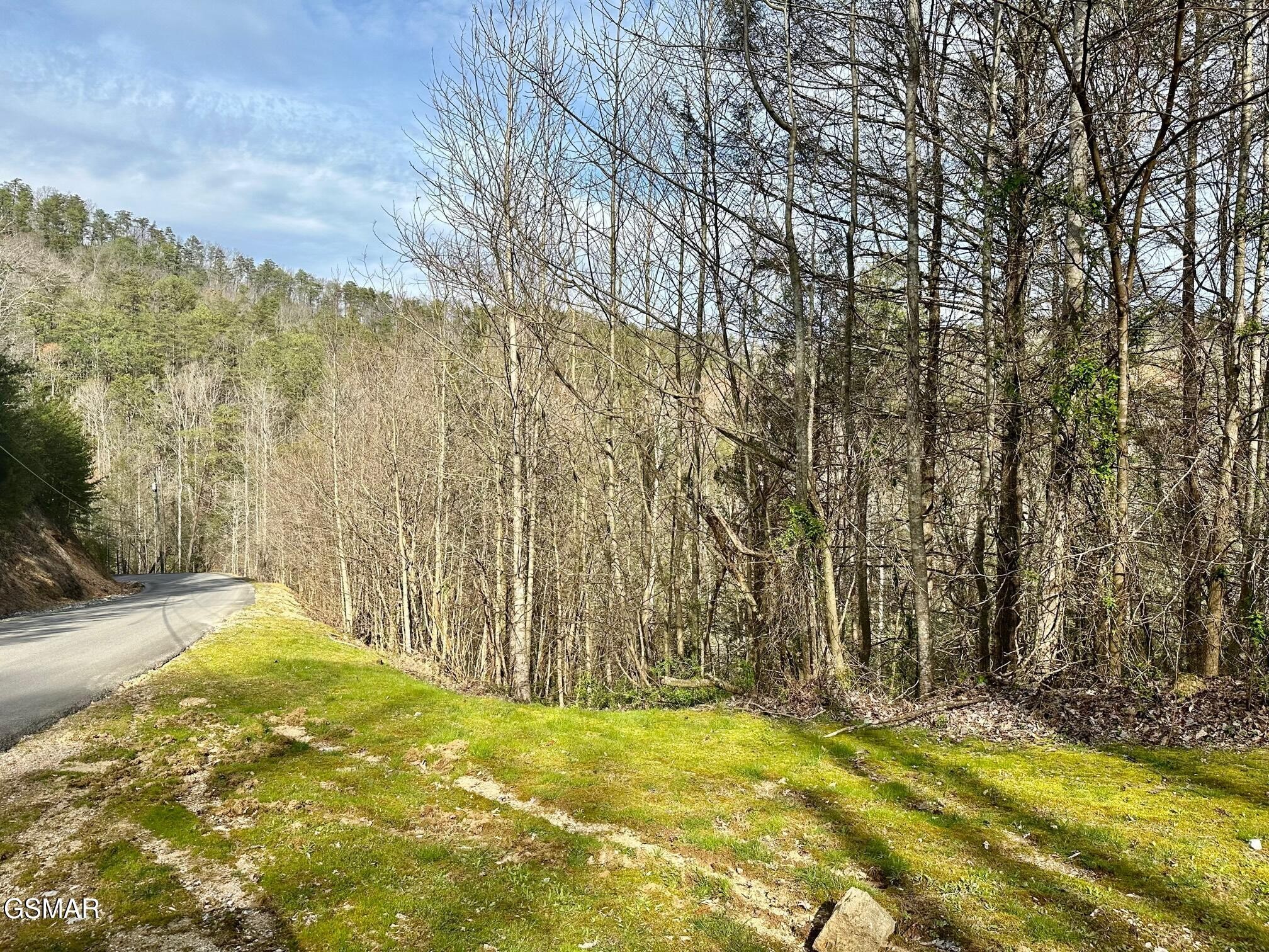 1423 Mountain Dreams Way Property Photo 1
