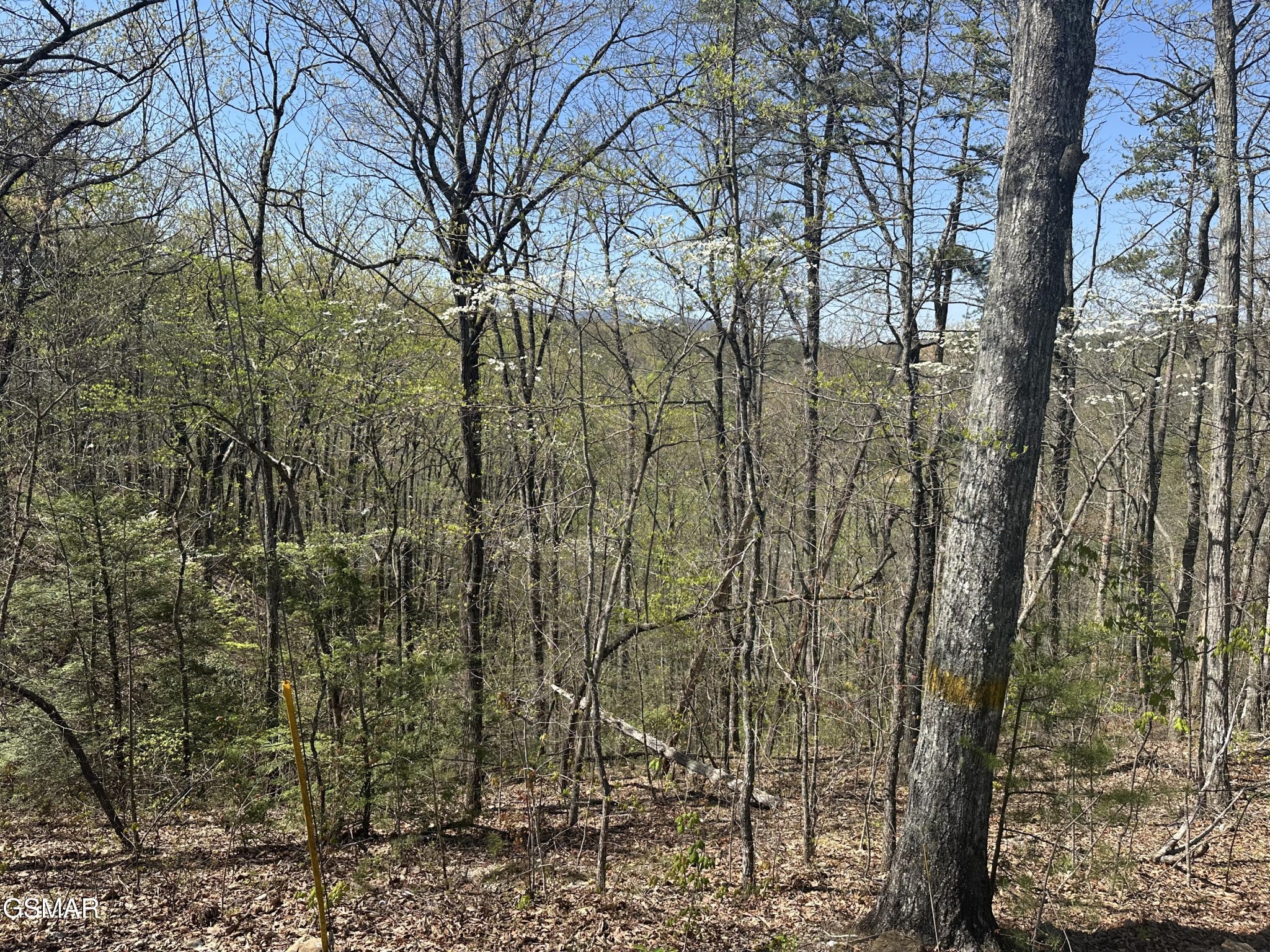 1532 Mountain Dreams Way Way Property Photo 1