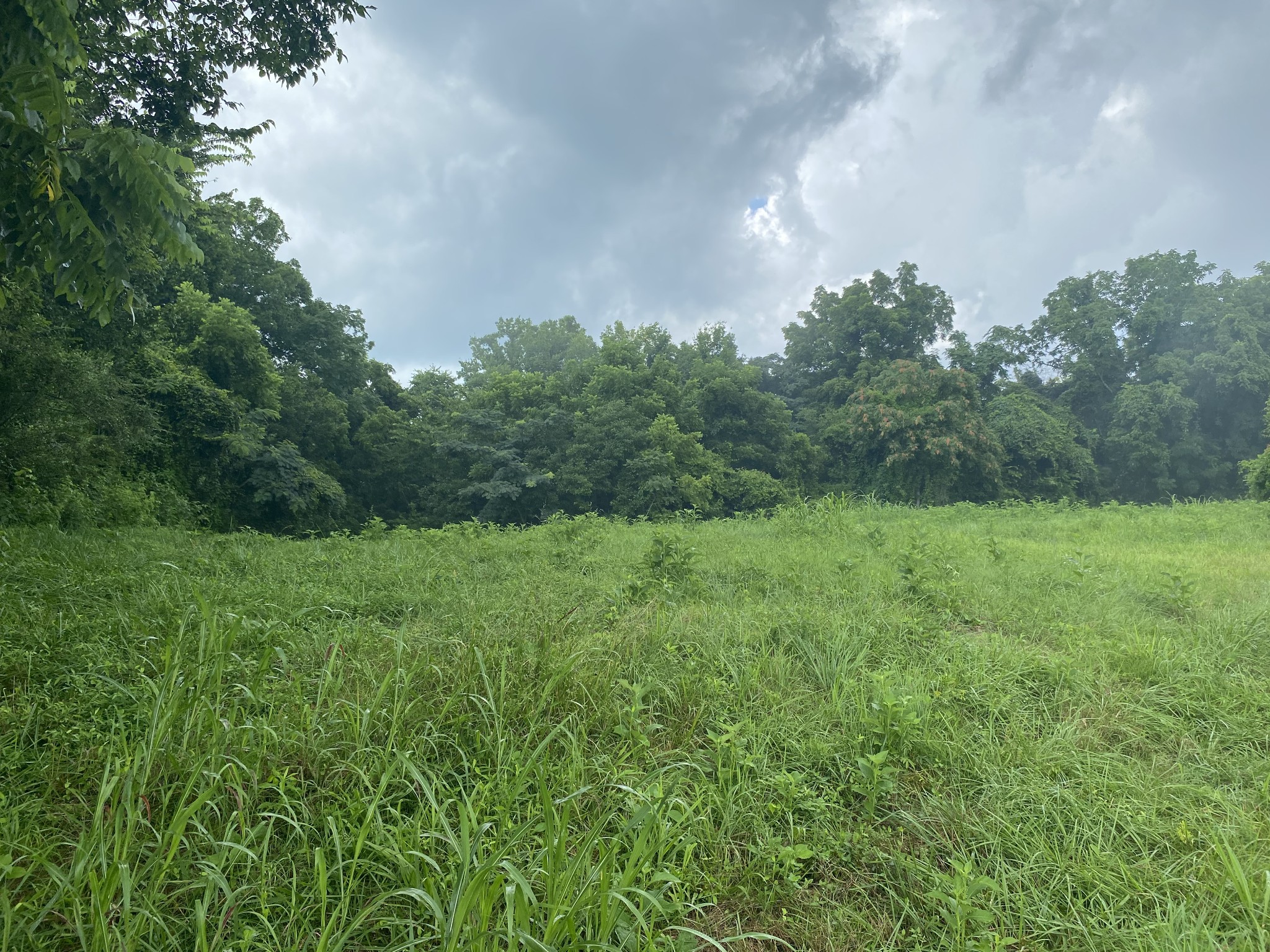 0 Johnson Road Property Photo 2