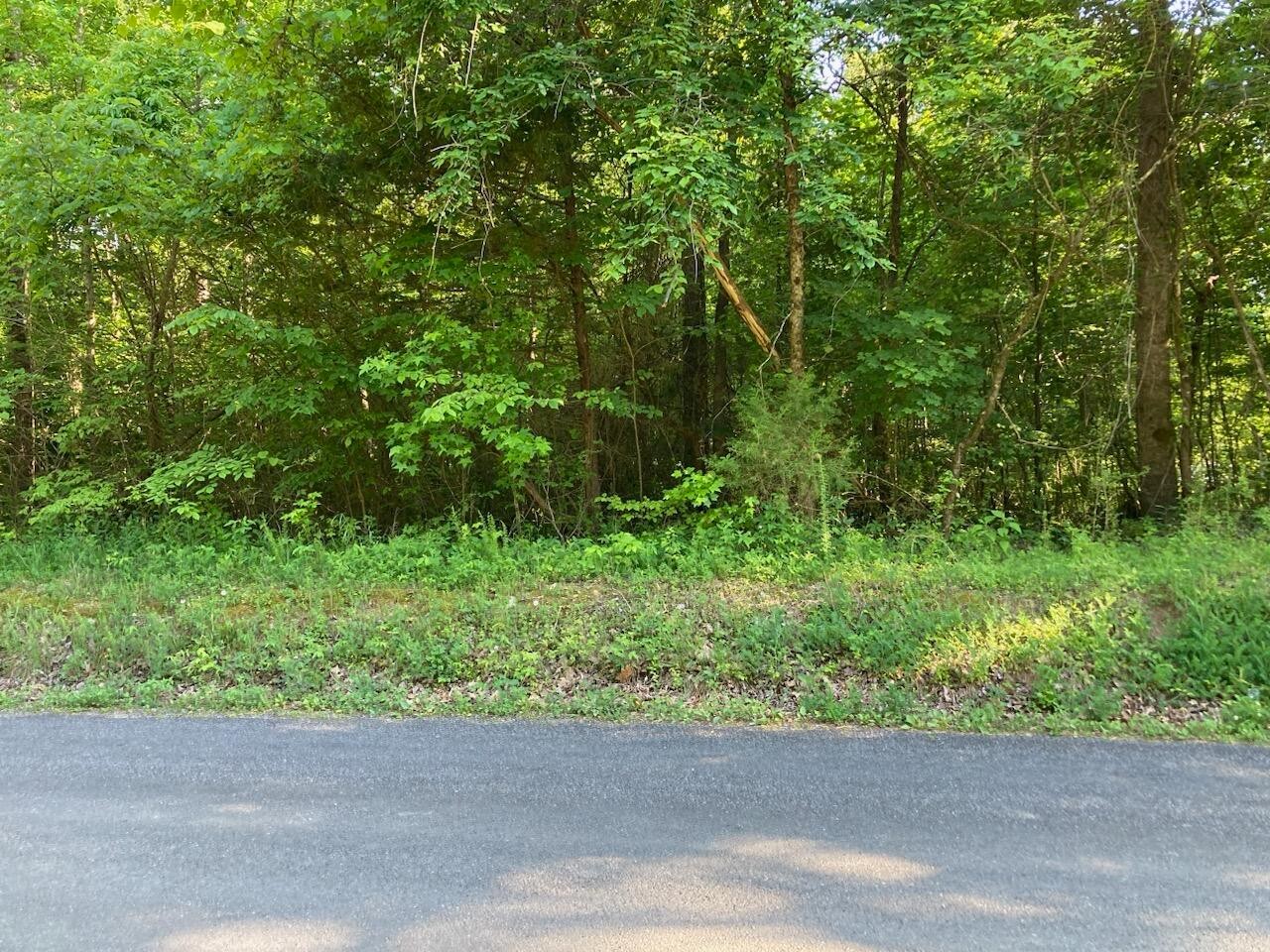 0 Horner Hollow Road Property Photo 1