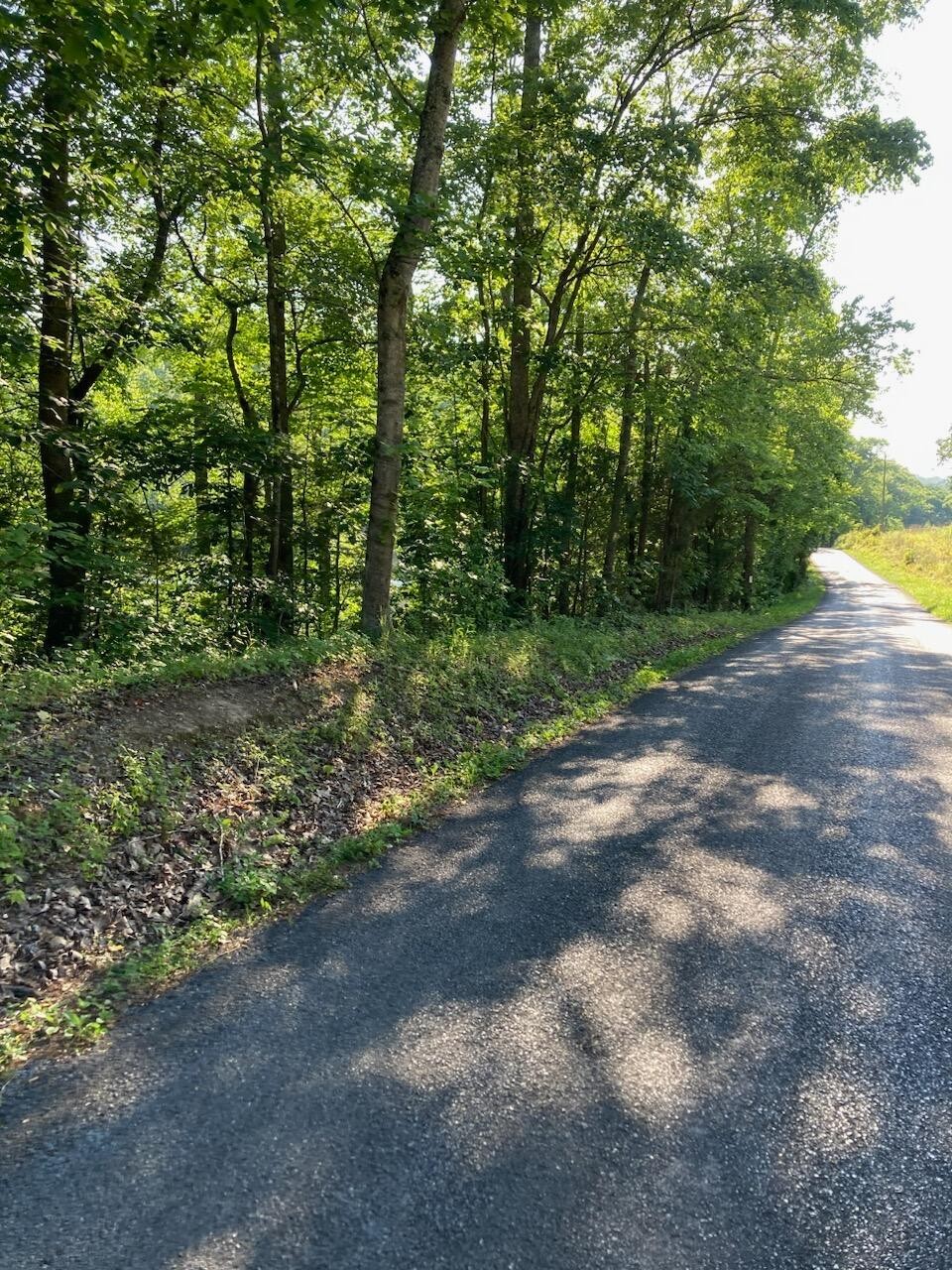 0 Horner Hollow Road Property Photo 2