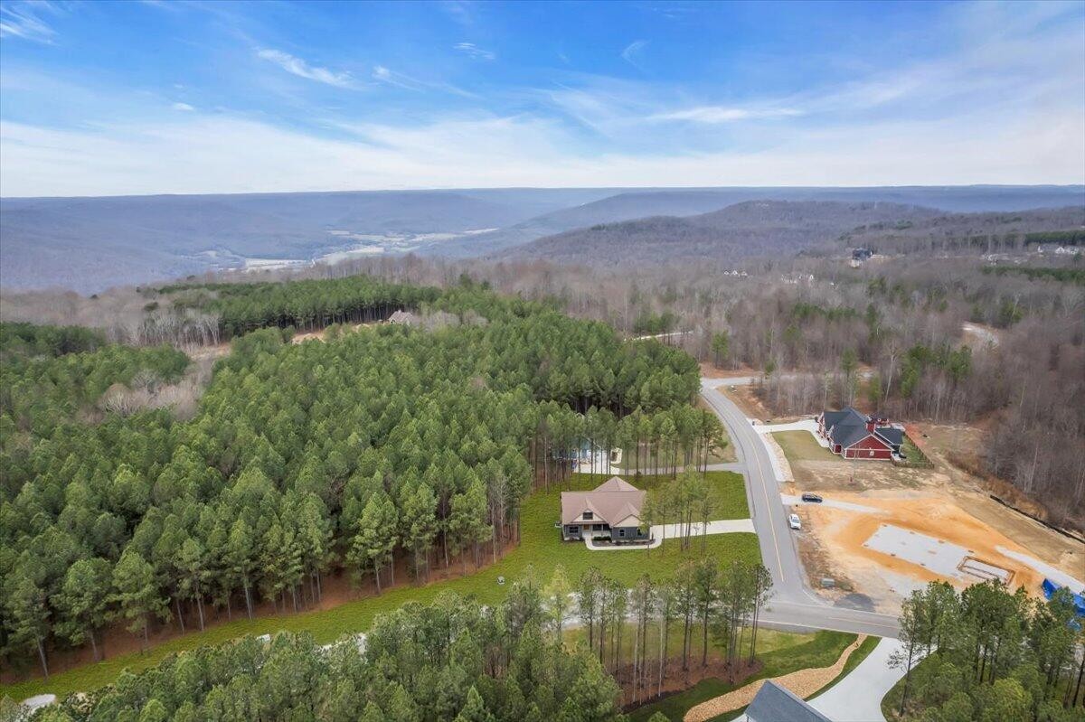 3200 Crockett Pointe Property Photo 57
