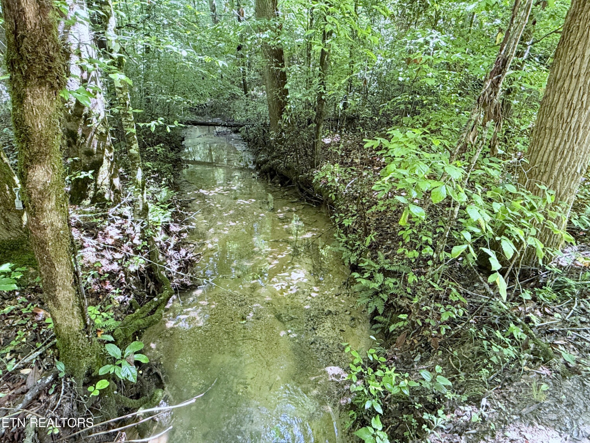 438 Country Square Rd Property Photo 35