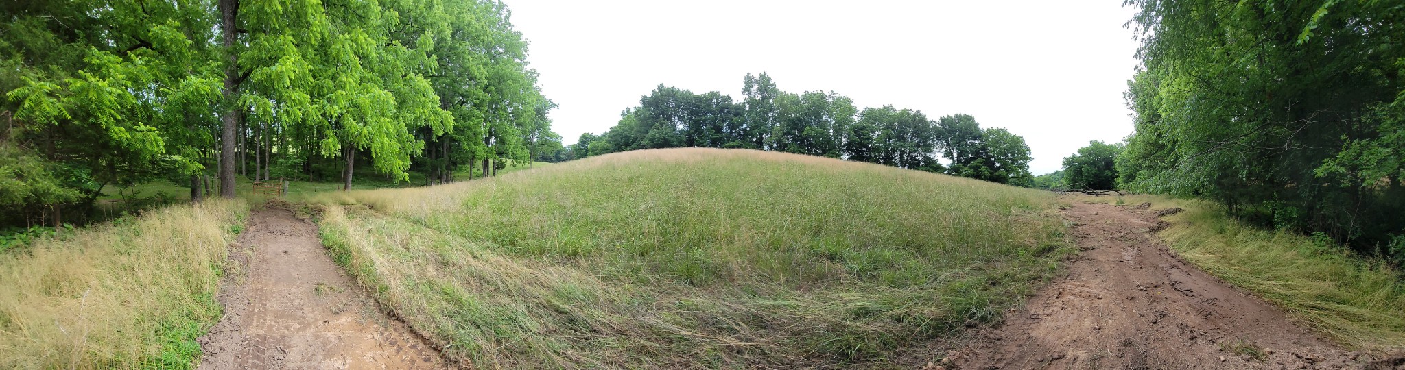 244 Access Rd Property Photo 23