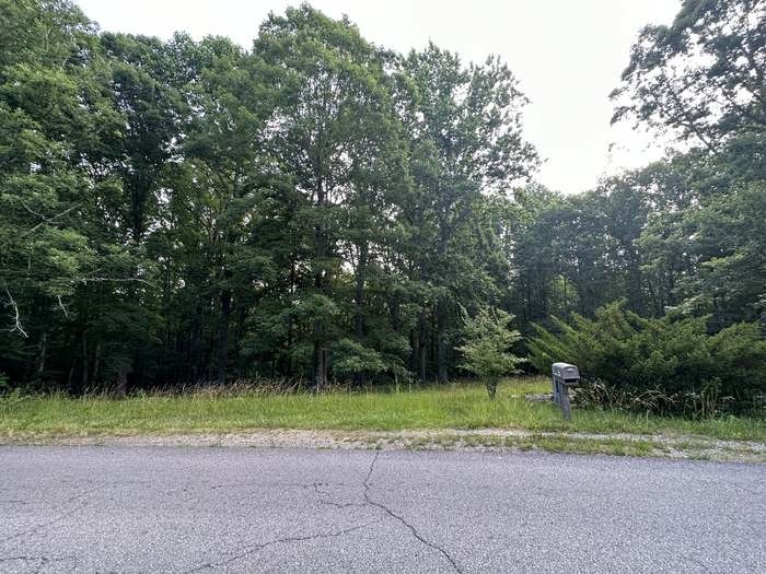 1251 Mount Pleasant Rd Property Photo 1