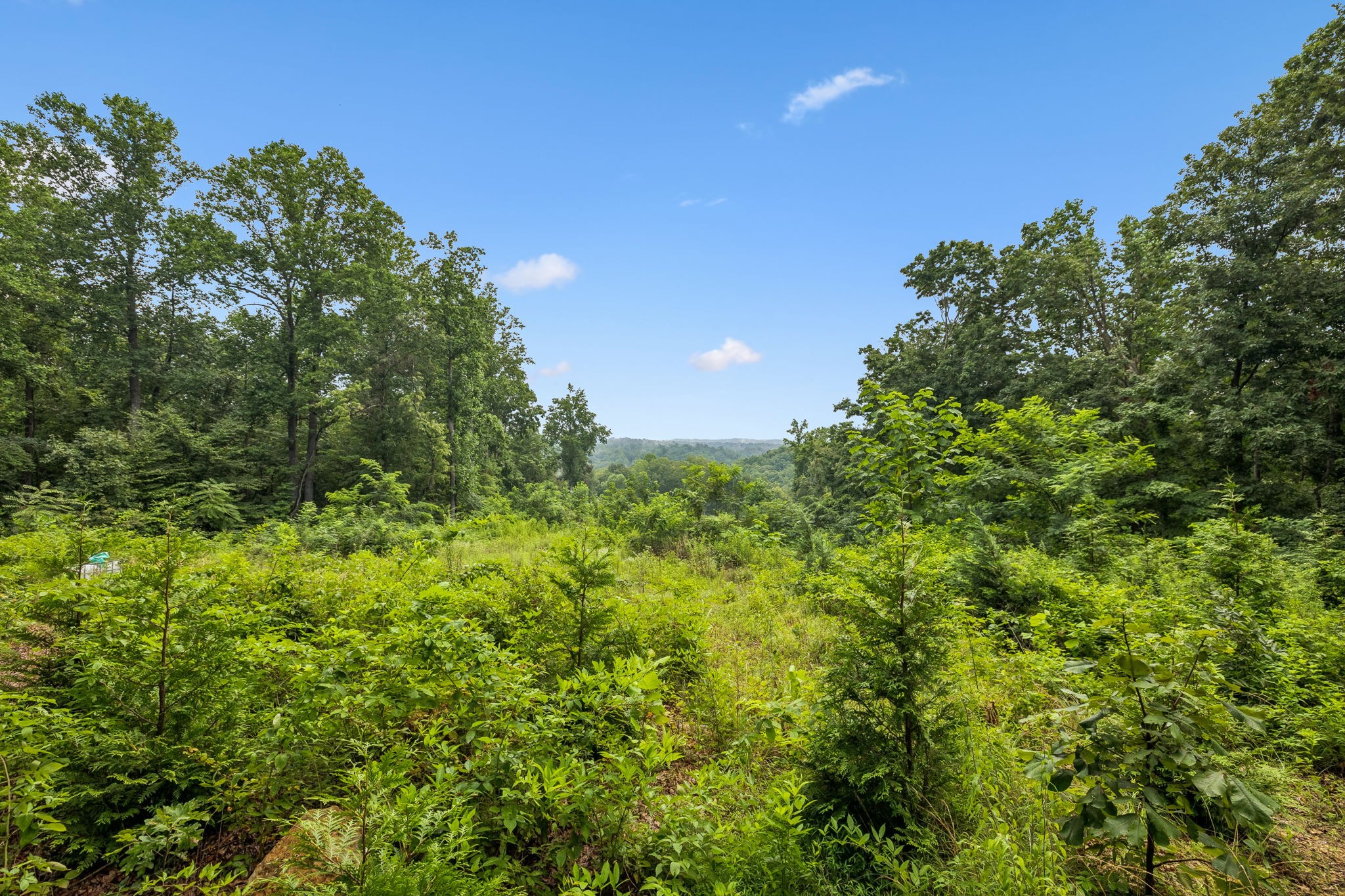 1065 Sioux Trail Property Photo 4
