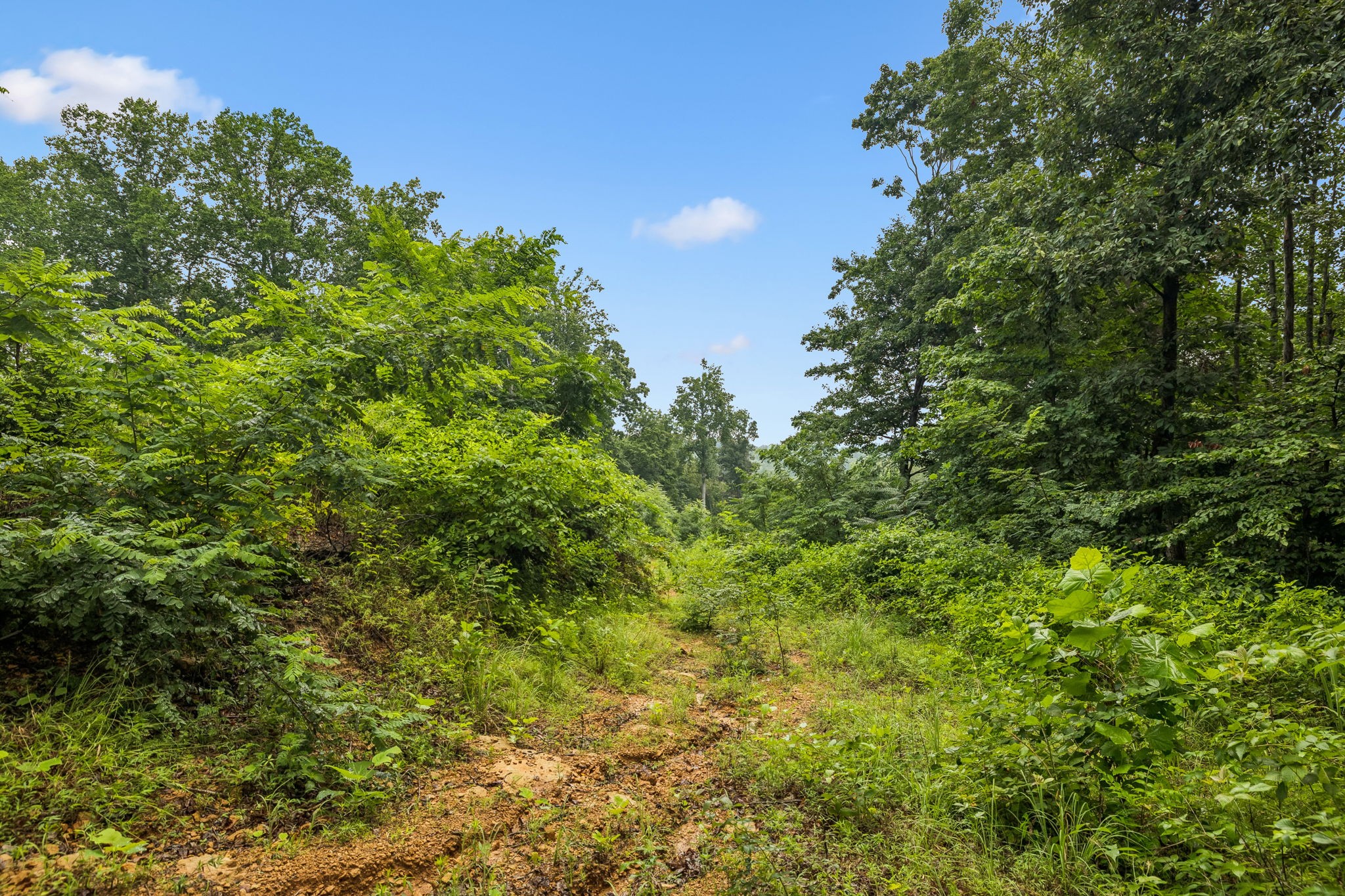 1065 Sioux Trail Property Photo 8