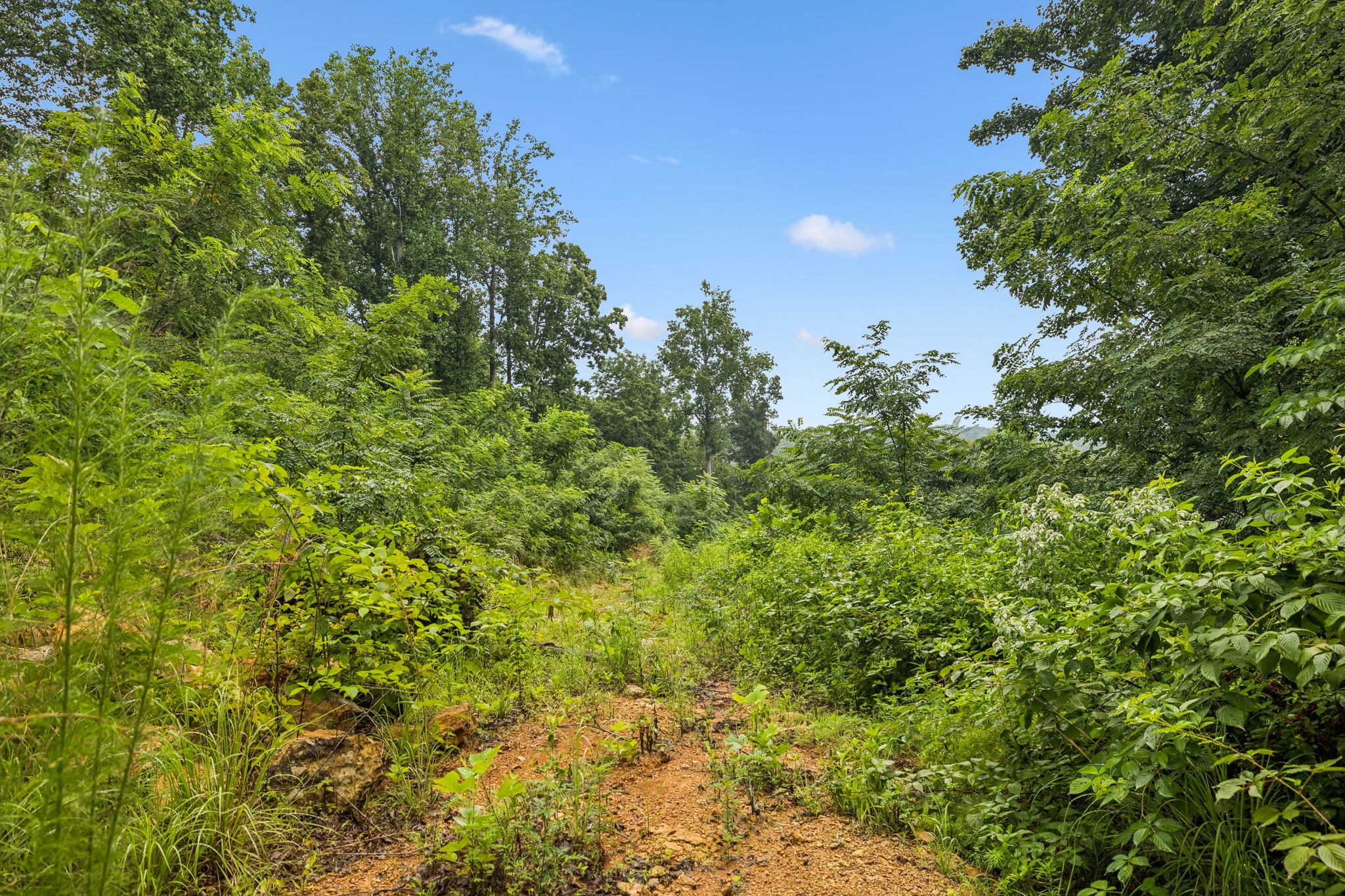 1065 Sioux Trail Property Photo 9