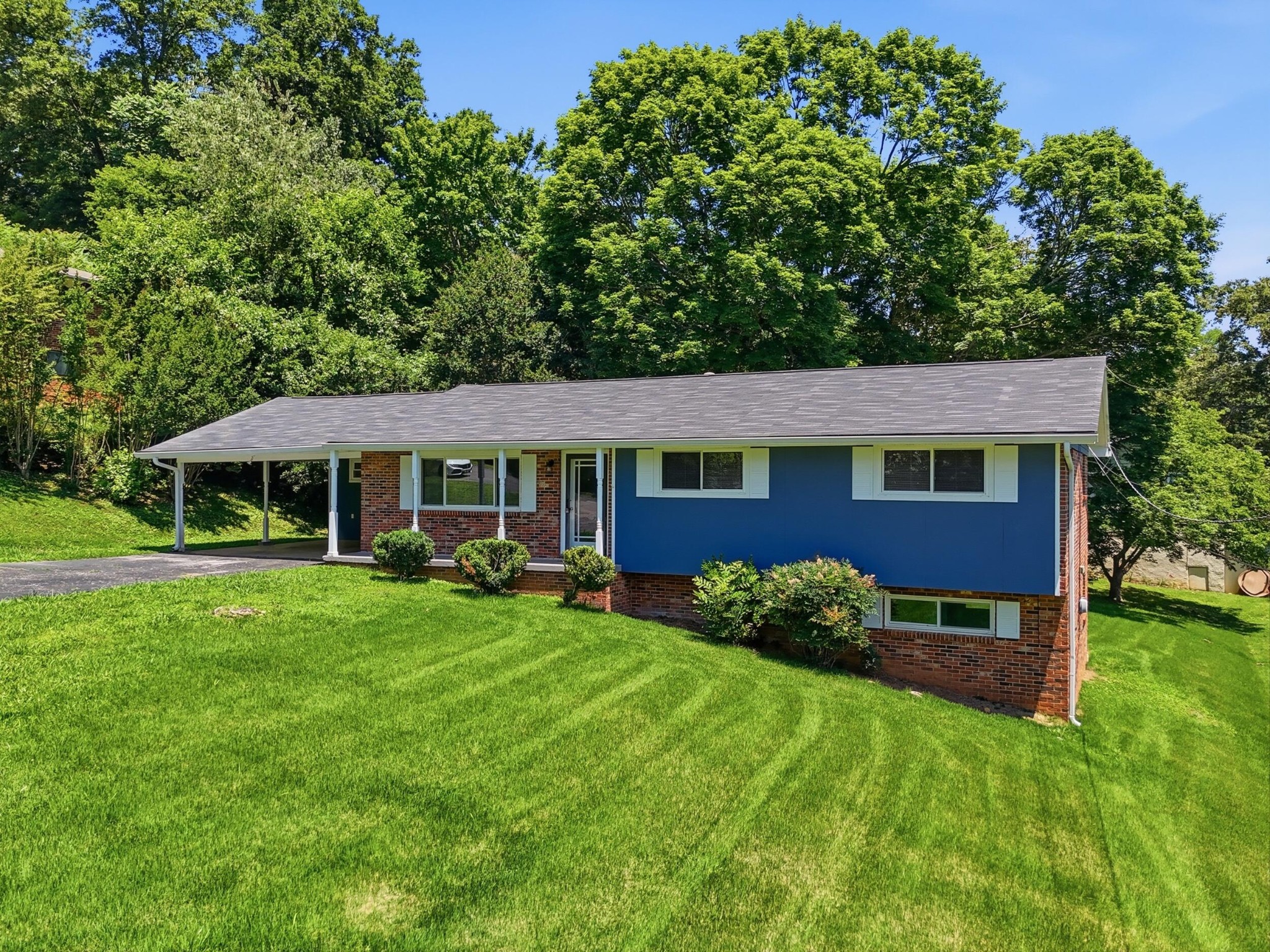 15 Holiday Lane