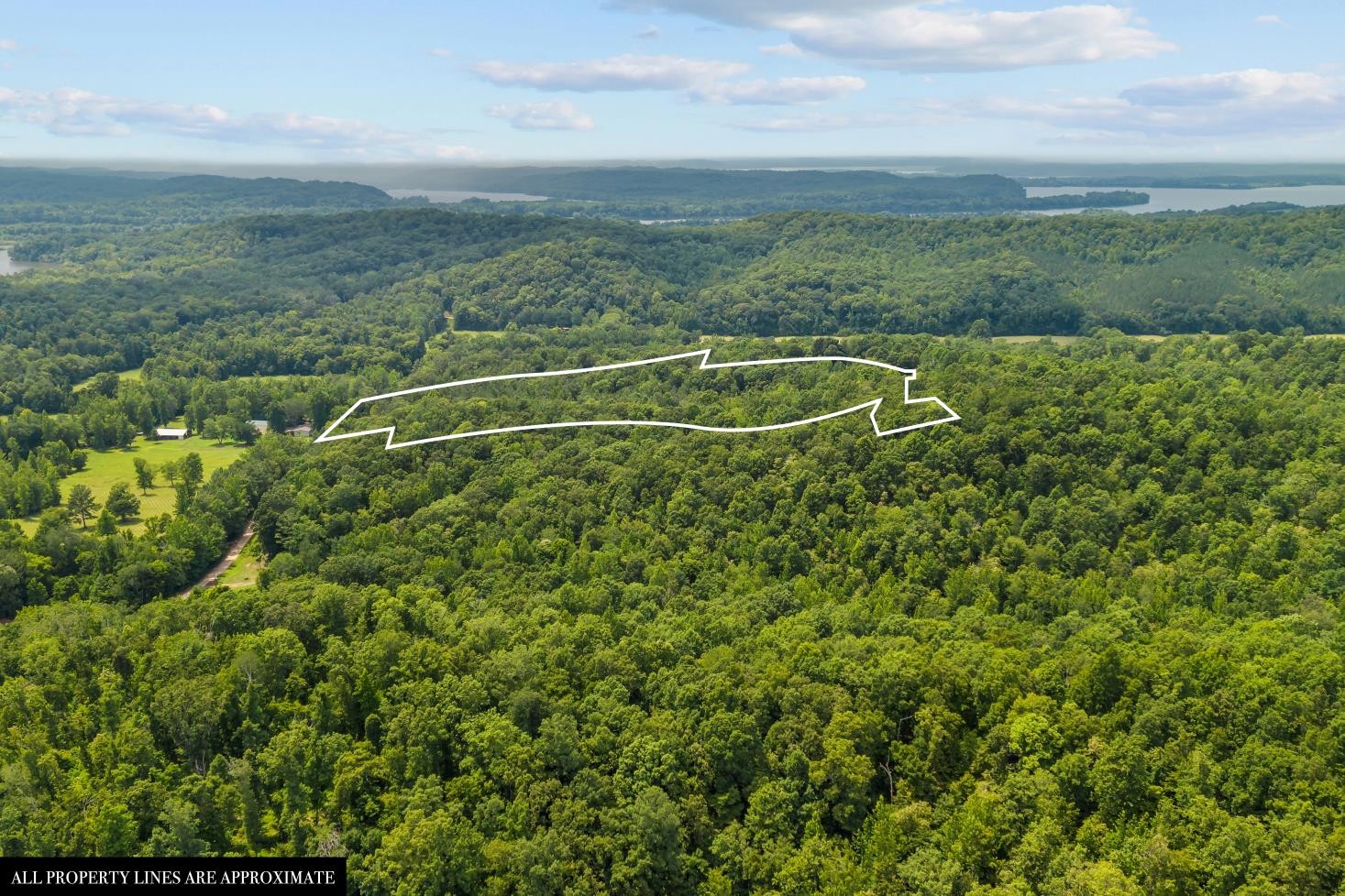 0 Roberts Creek Property Photo 9