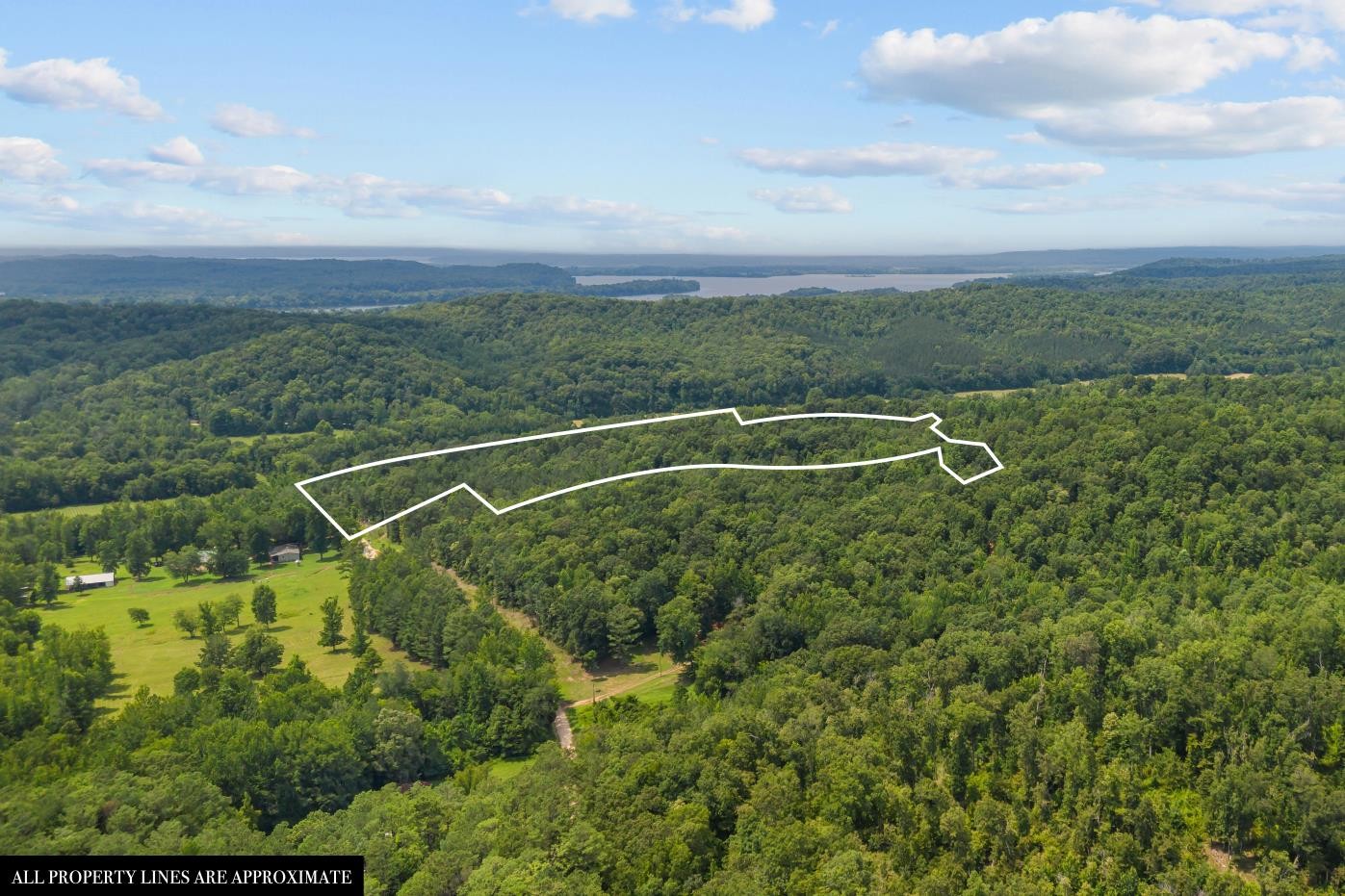 0 Roberts Creek Property Photo 11